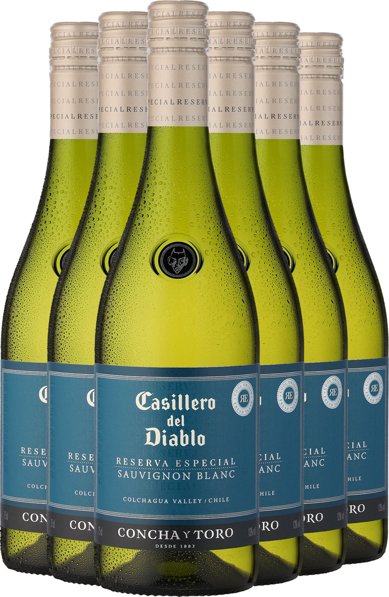 2024 Casillero del Diablo Reserva Especial Sauvignon Blanc im 6er-Vorratspaket