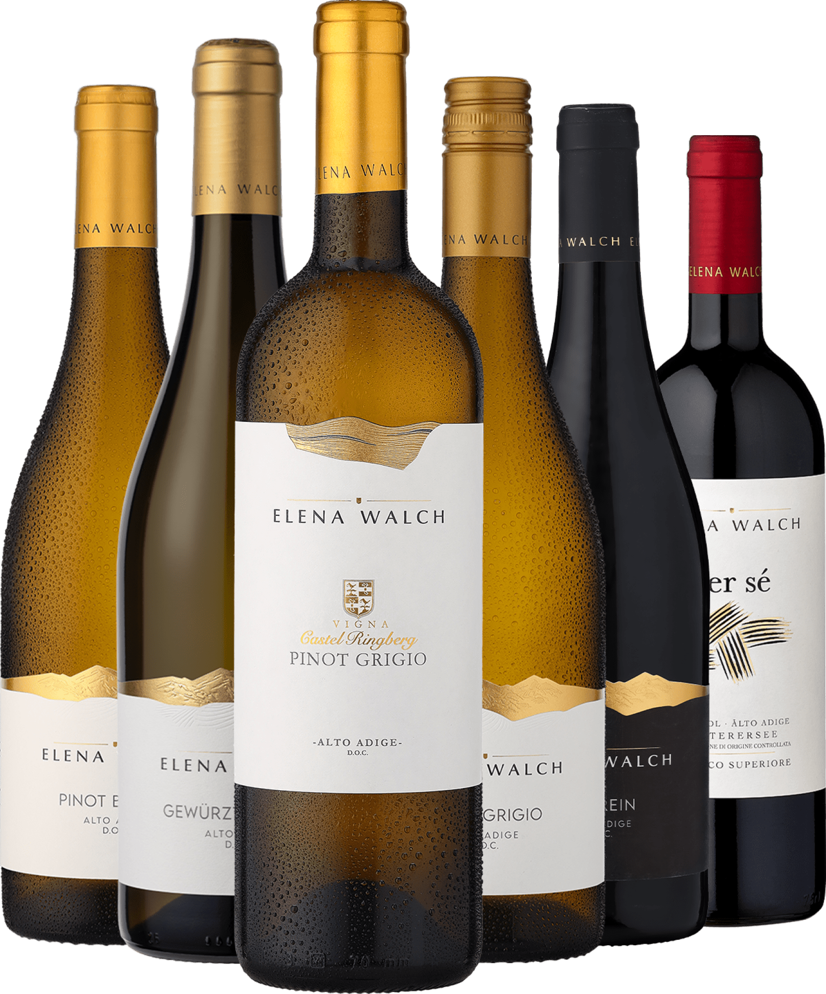 6er-Probierpaket »Elena Walch«