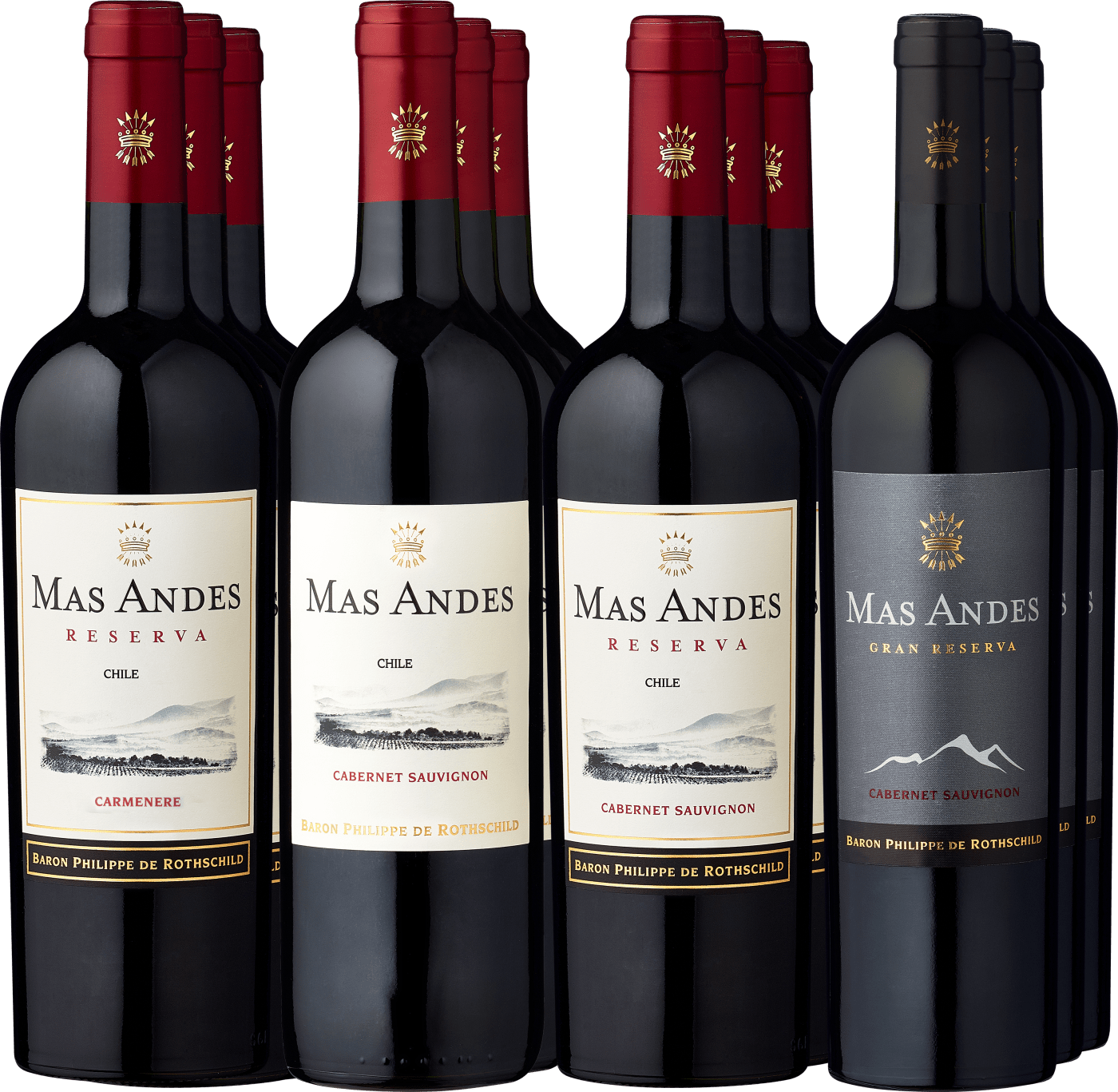 12er-Probierpaket »Edle Rothschild Mas Andes-Entdeckungen«  Club of Wine DE