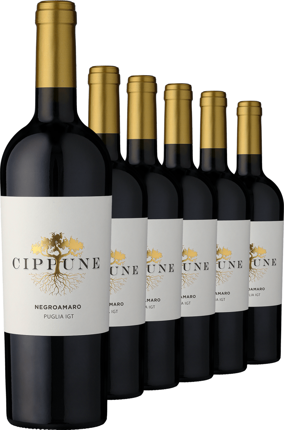 2021 Cippune Negroamaro im 6er-Vorratspaket  Club of Wine DE