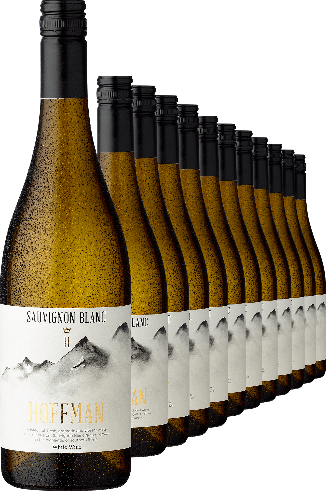 4002859990385 - Alceño Hoffman Sauvignon Blanc im 12er Vorratspaket Jetzt 56% sparen! 4002859990385 - Alceño Hoffman Sauvignon Blanc im 12er Vorratspaket Jetzt 56% sparen!