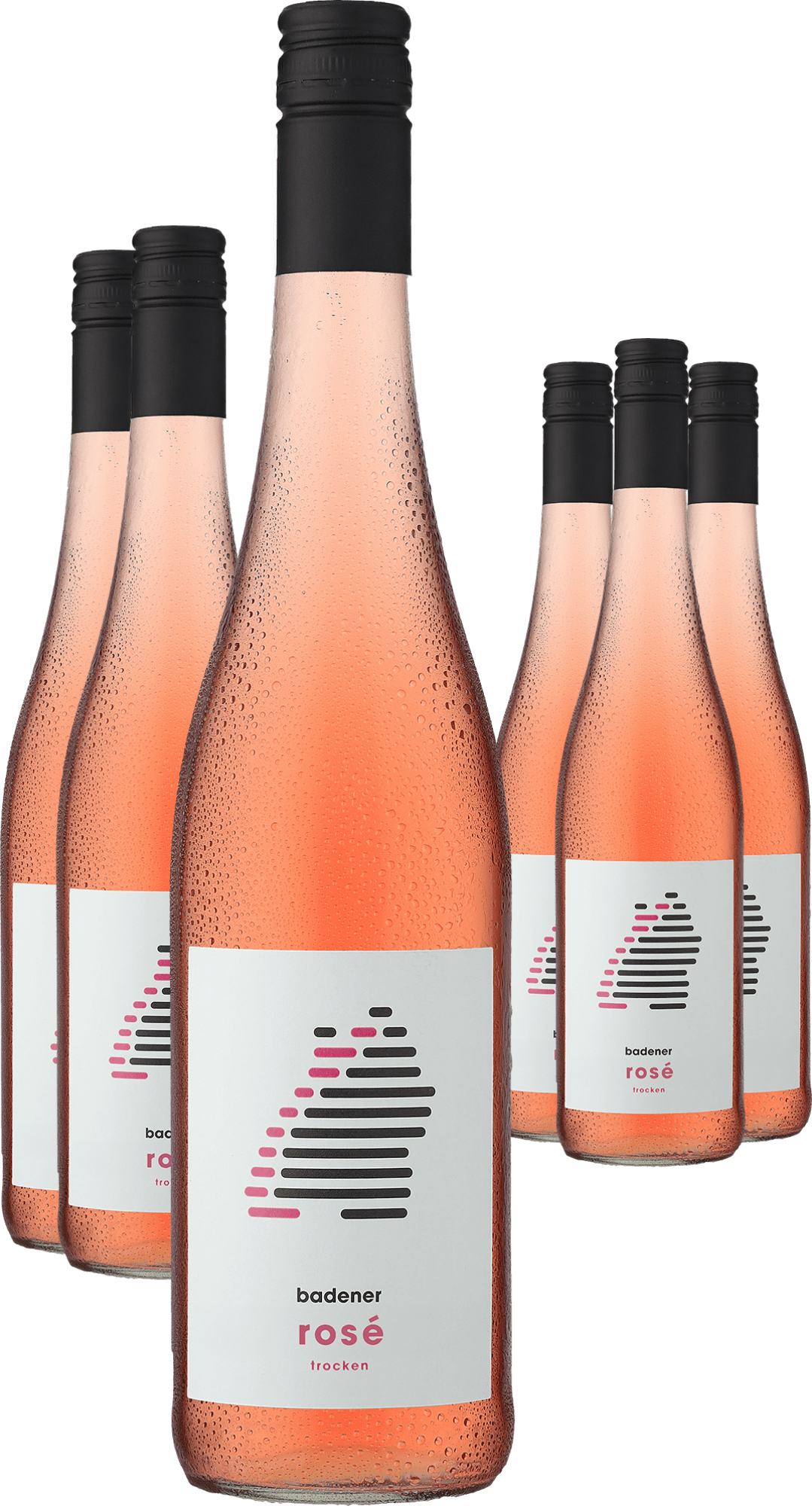 4002859994345 - 2024 badener Rosé im 6er-Vorratspaket 4002859994345 - 2024 badener Rosé im 6er-Vorratspaket