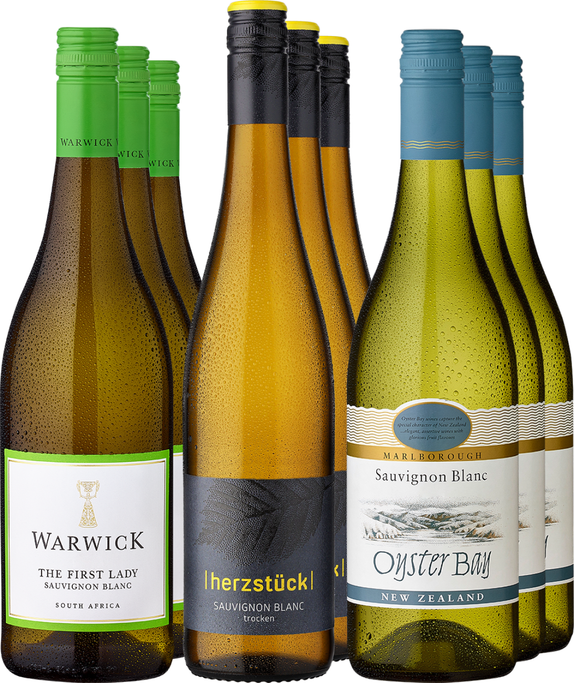 9er-Probierpaket »Frühlingshafte Sauvignon Blanc-Favoriten«  Club of Wine DE