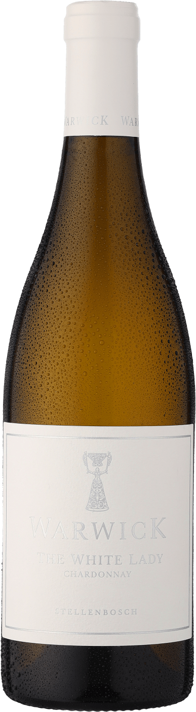 Südafrikanischen Weißwein kaufen | Ludwig von Kapff