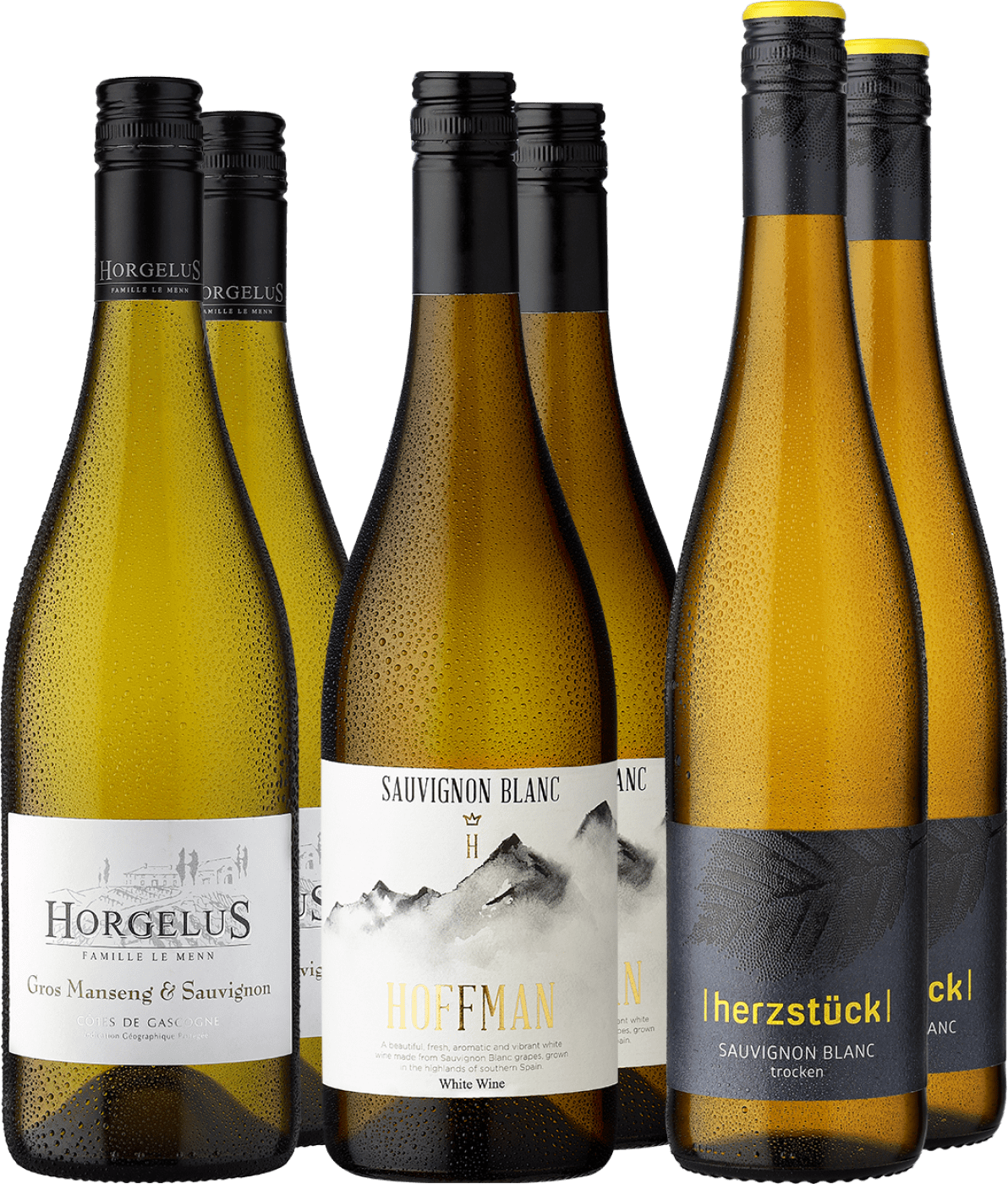 6er-Probierpaket »Sauvignon Siegerweine«  Club of Wine DE