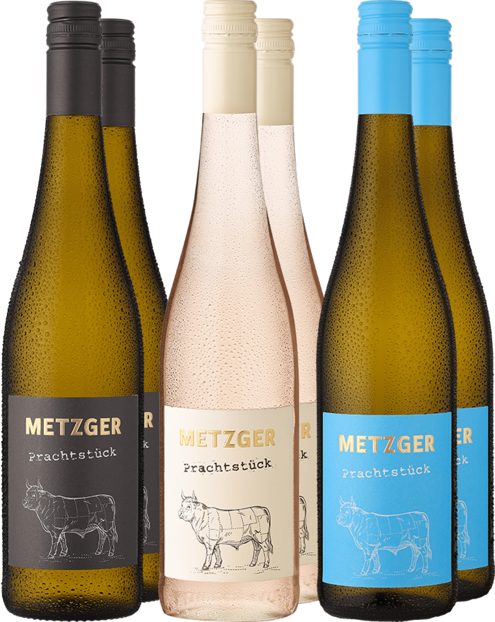 4002859990064 - 6er Probierpaket »Weingut Metzger in weiß« Sparen Sie jetzt 20%! 4002859990064 - 6er Probierpaket »Weingut Metzger in weiß« Sparen Sie jetzt 20%!