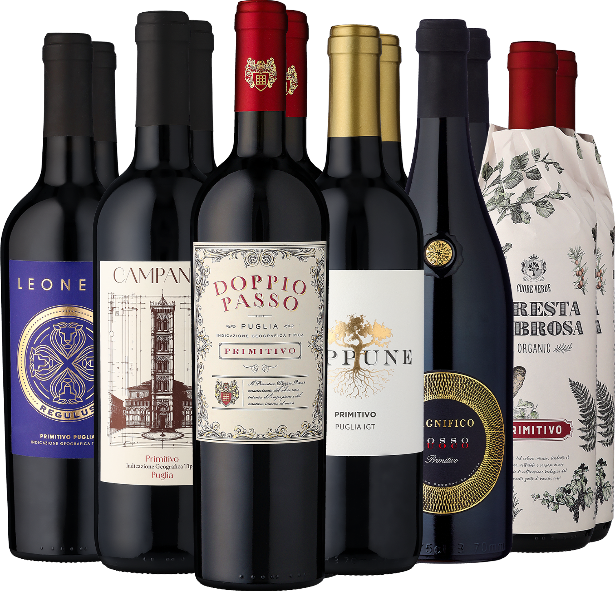 12er-Probierpaket »Primitivo-Lover«
