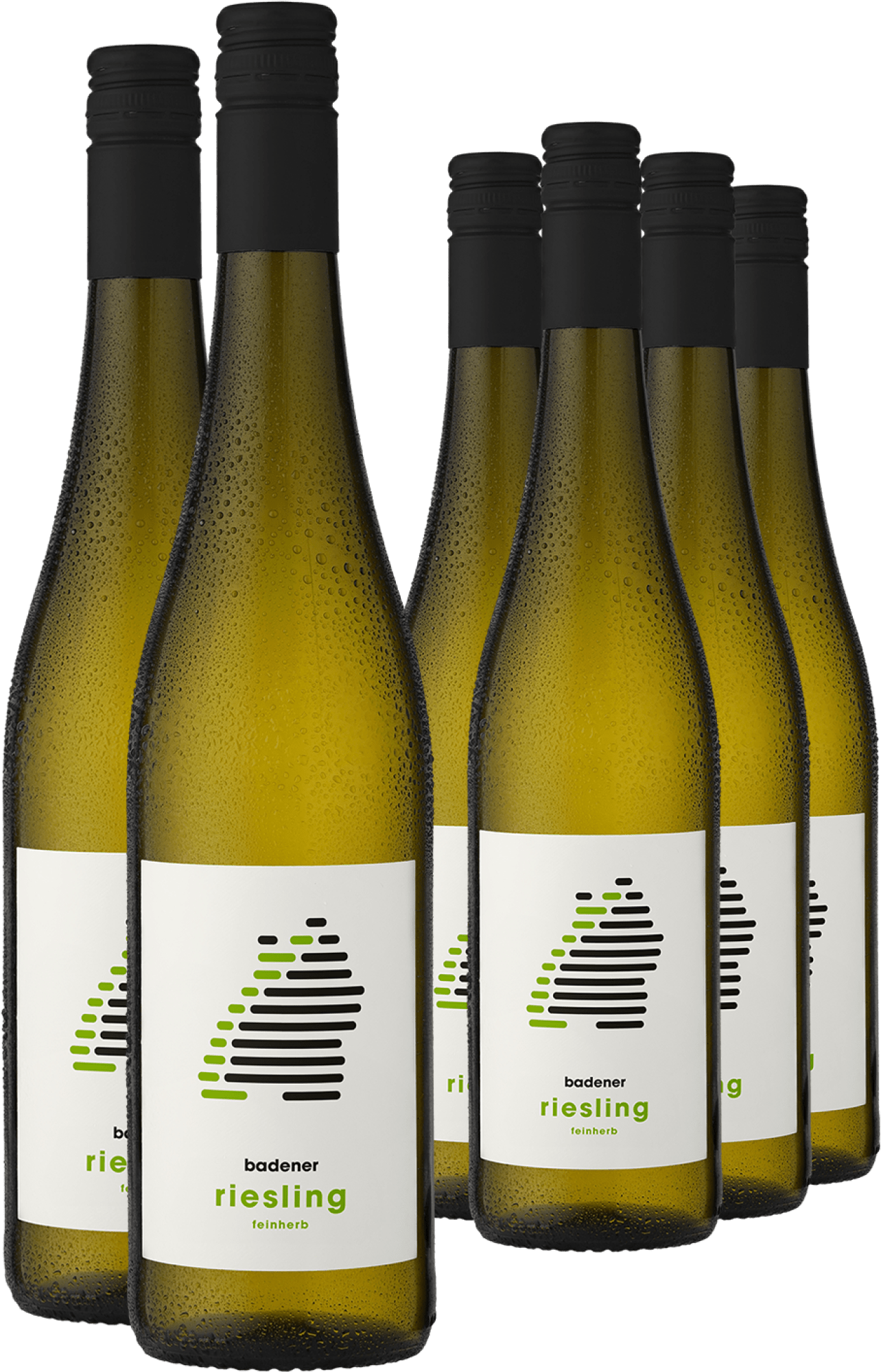 4002859994185 - 4+2 PAKET badener Riesling feinherb 2023 4002859994185 - 4+2 PAKET badener Riesling feinherb 2023