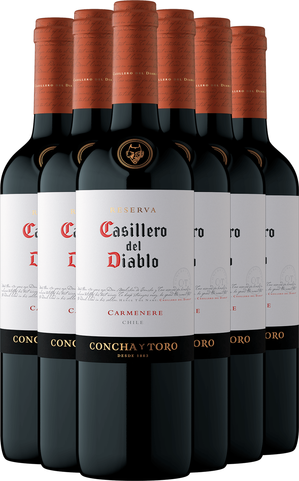 2023 Casillero del Diablo Reserva Carmenere im 6er-Vorratspaket