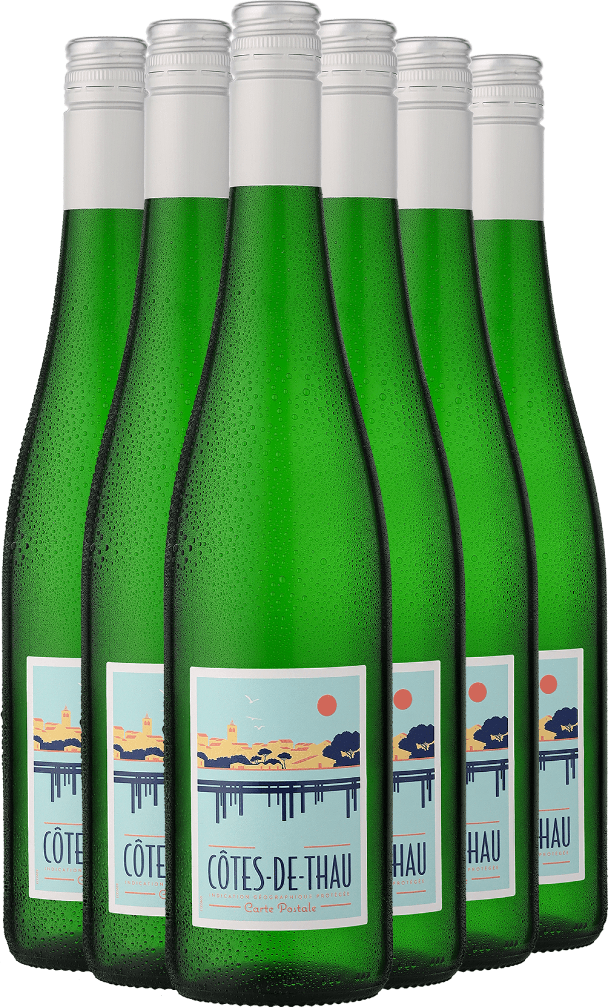 2024 Carte Postale Côtes de Thau Blanc im 6er-Vorratspaket