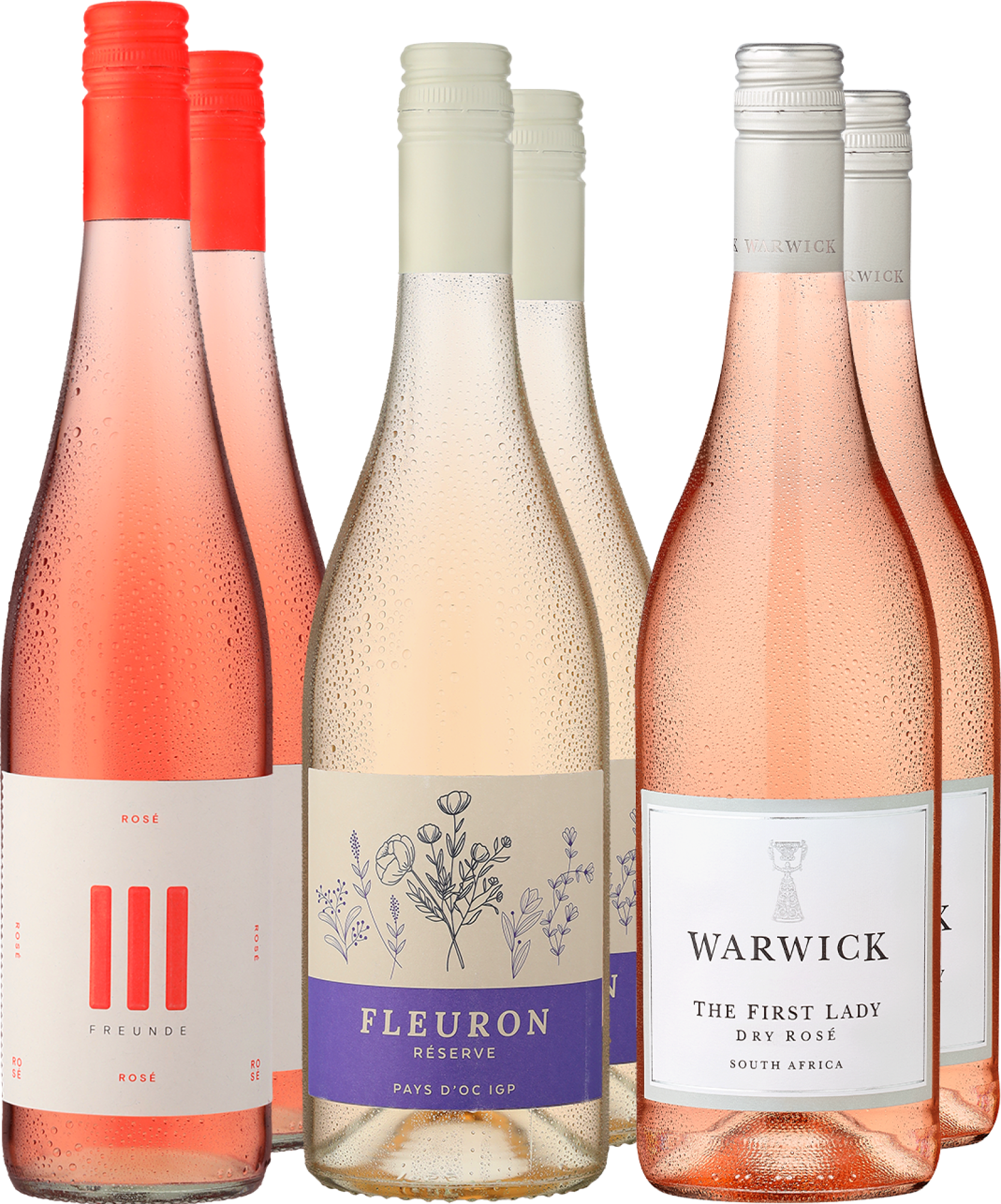 4002859996653 - 6er-Probierpaket »Rosé Around the World«