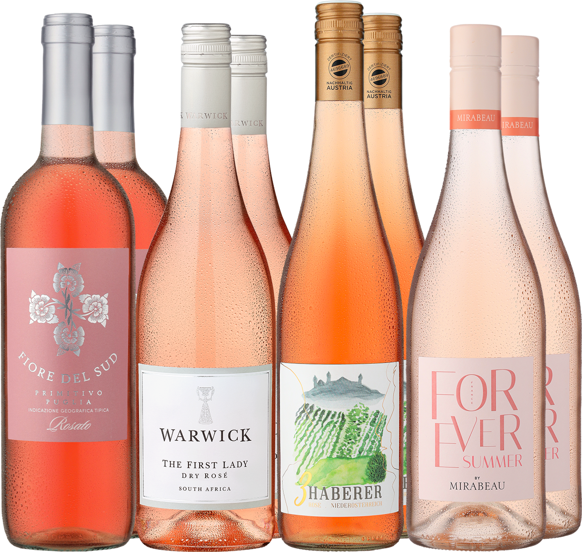 4002859994154 - 8er-Probierpaket »Rosé Favoriten« 4002859994154 - 8er-Probierpaket »Rosé Favoriten«