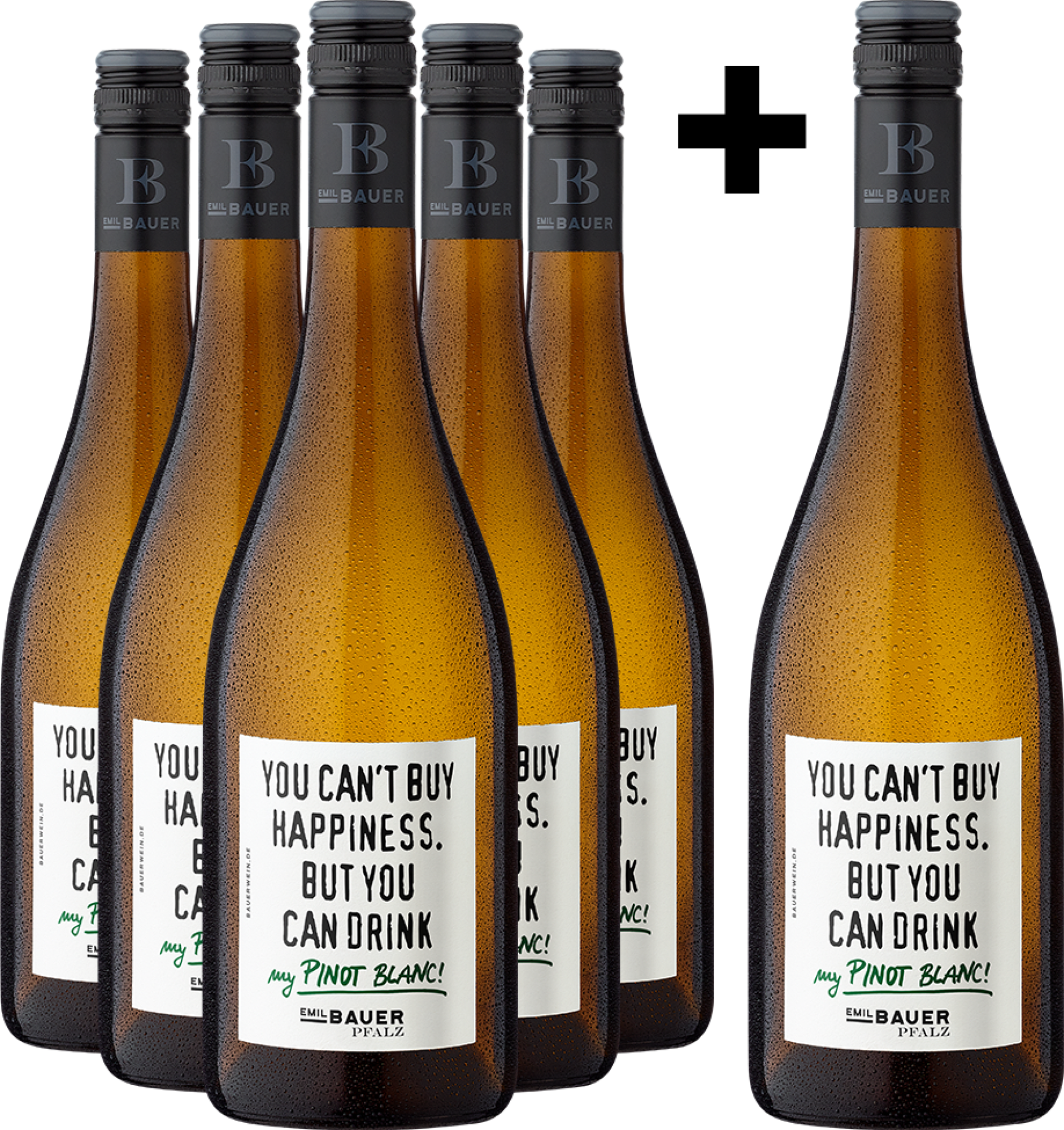 5+1-PAKET Emil Bauer »You can’t buy Happiness...« Weißburgunder 2025