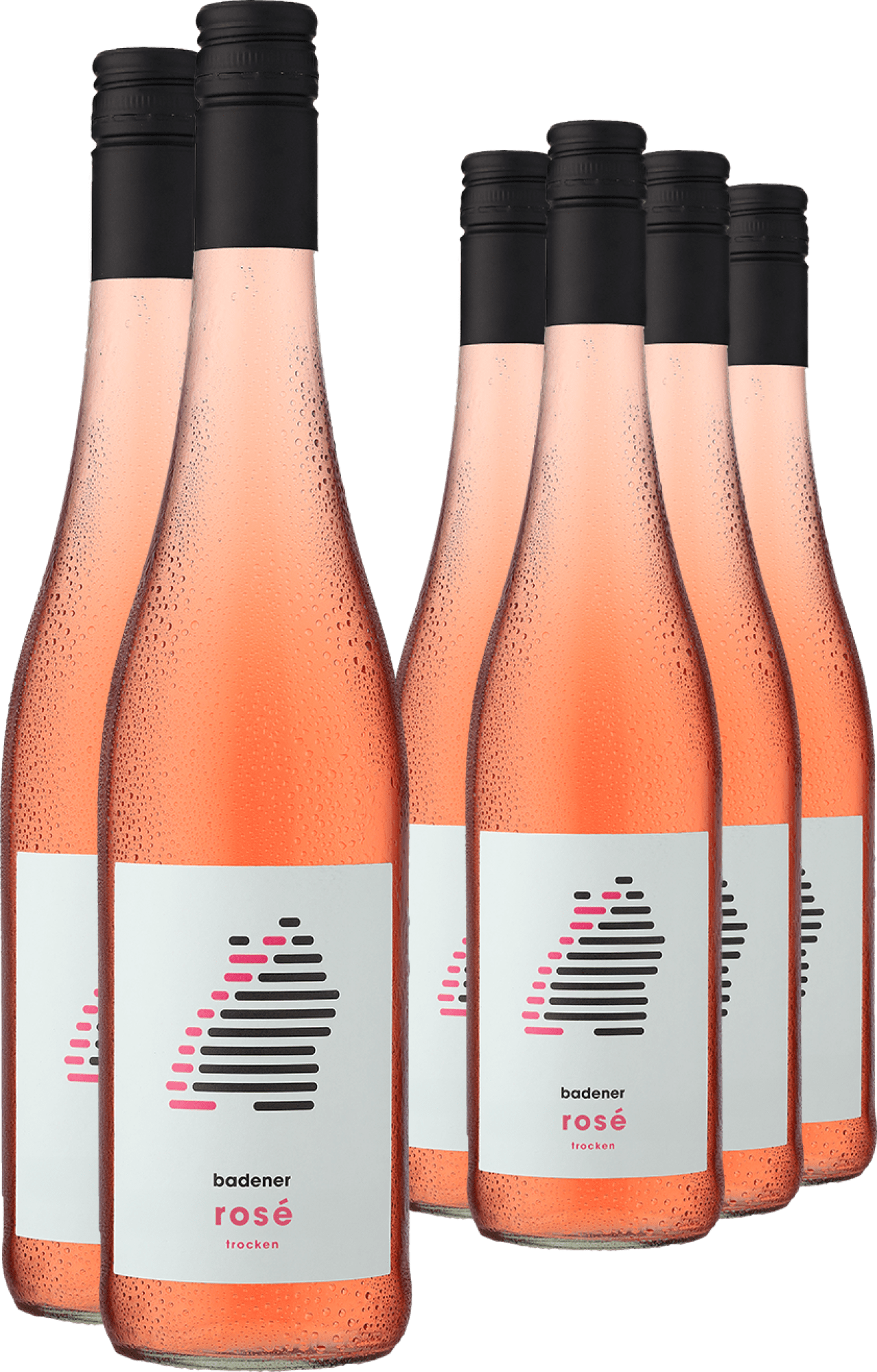 4002859994345 - 2024 badener Rosé im 6er-Vorratspaket