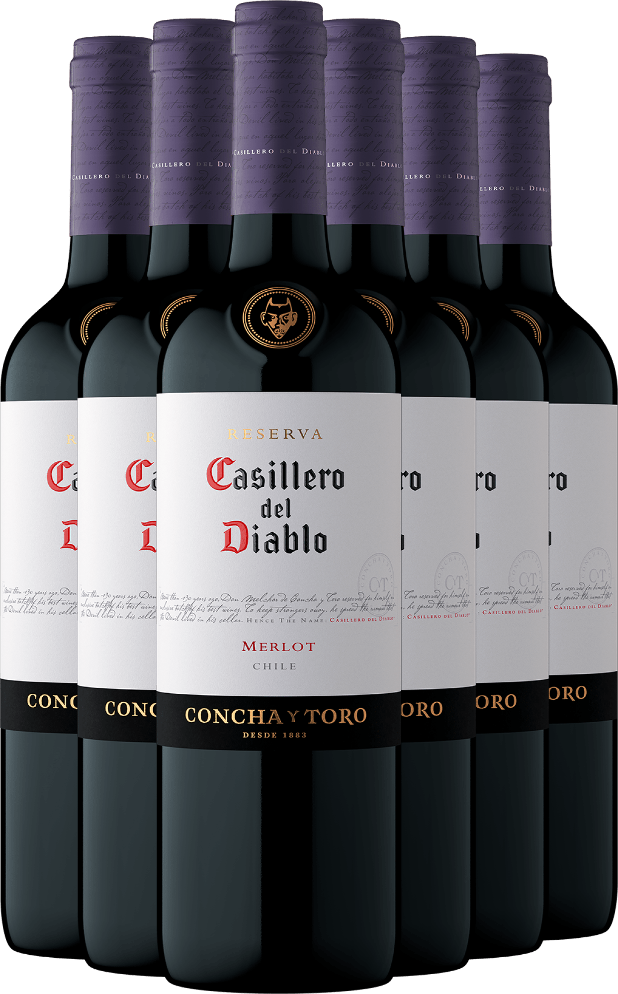 2023 Casillero del Diablo Reserva Merlot im 6er-Vorratspaket