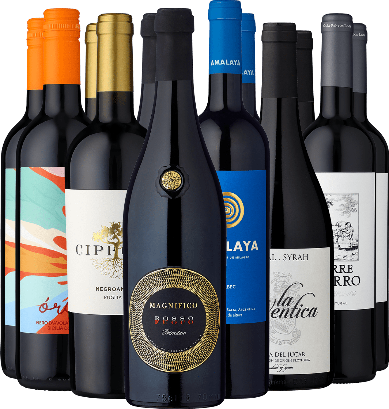 12er-Probierpaket »Rotwein-Topscorer«  Club of Wine DE