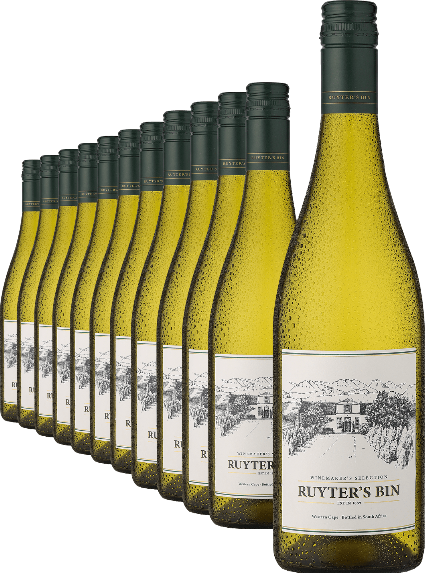 2025 Ruyter’s Bin »Winemaker's Selection« White im 12er-Vorratspaket