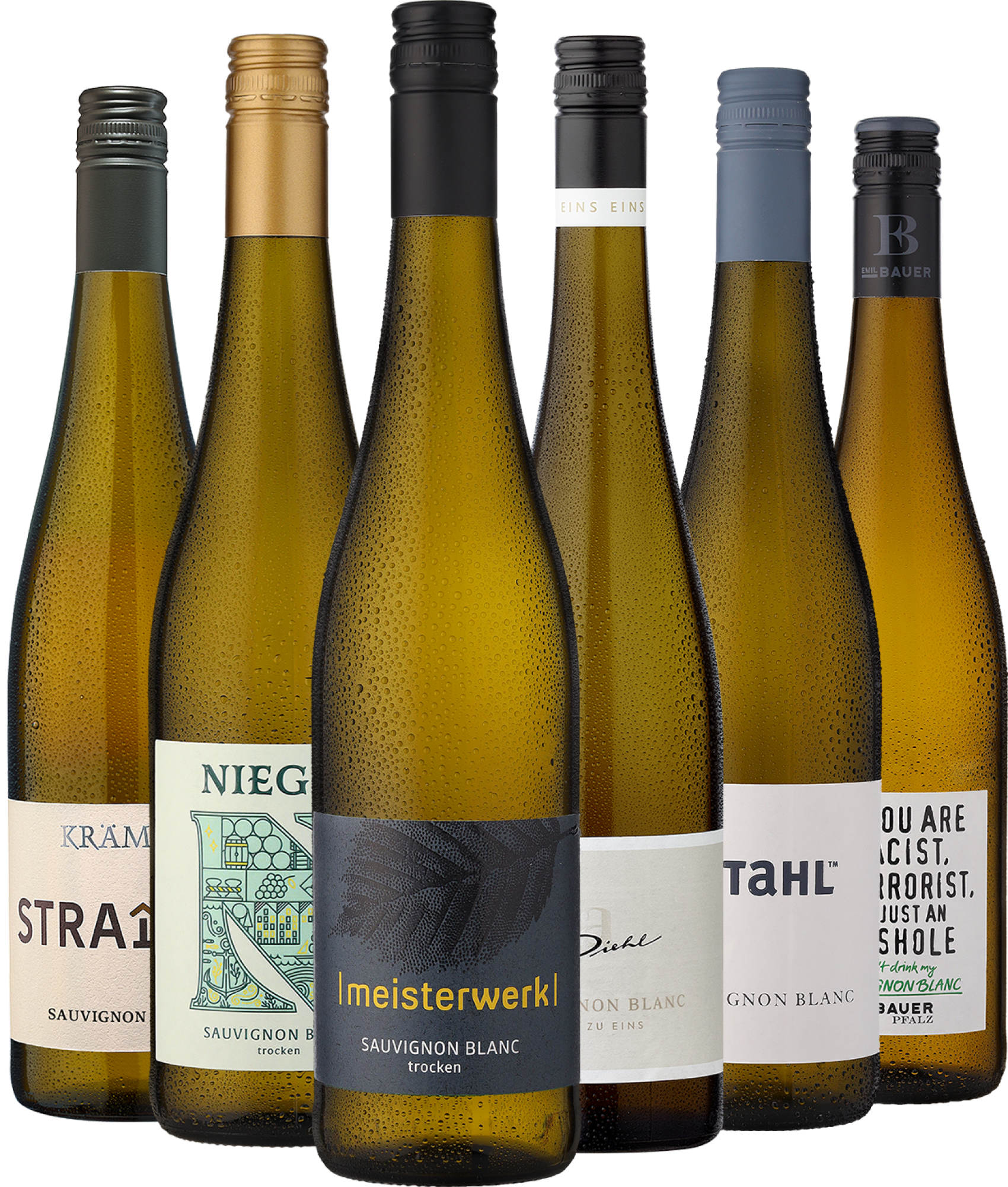 6er-Probierpaket »Sauvignon Blanc aus Deutschland«