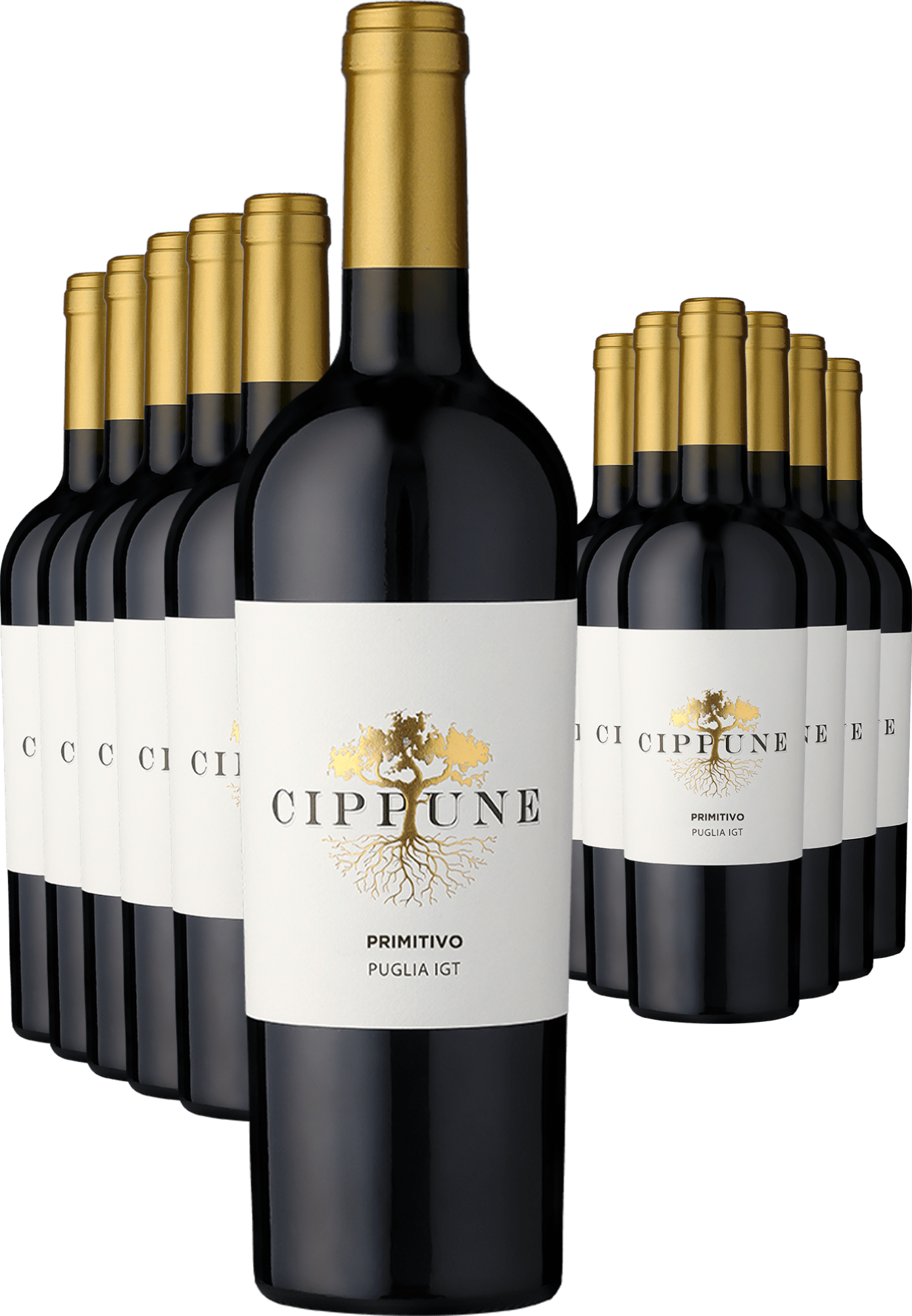 6+6-PAKET Cippune Primitivo 2025
