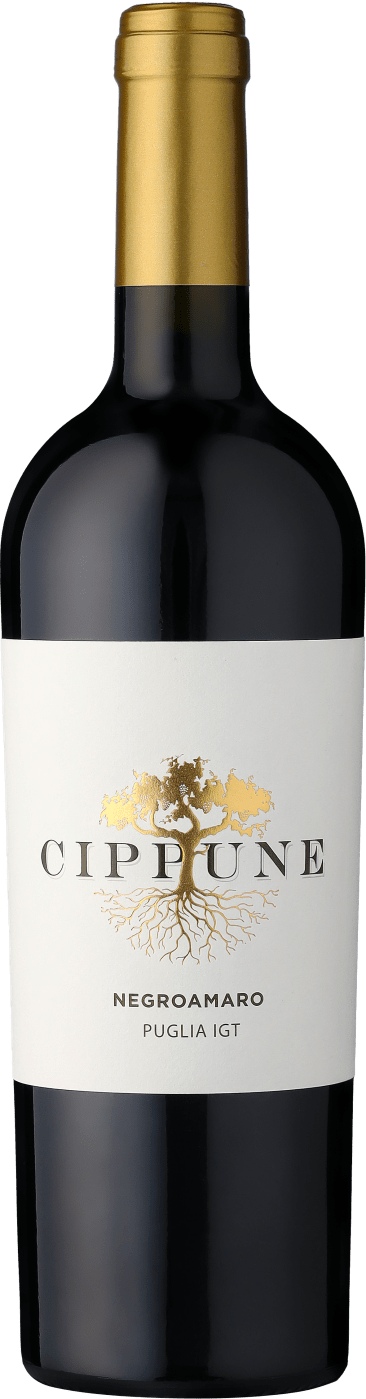 Cippune Negroamaro  Club of Wine DE