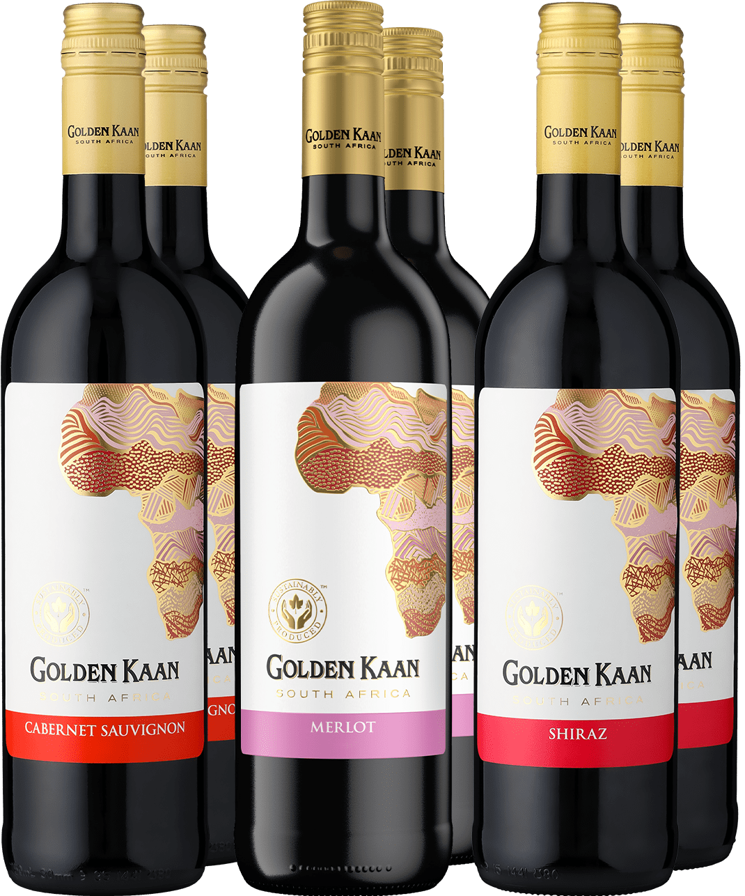6er-Probierpaket »Die Rotweine von Golden Kaan«  Club of Wine DE