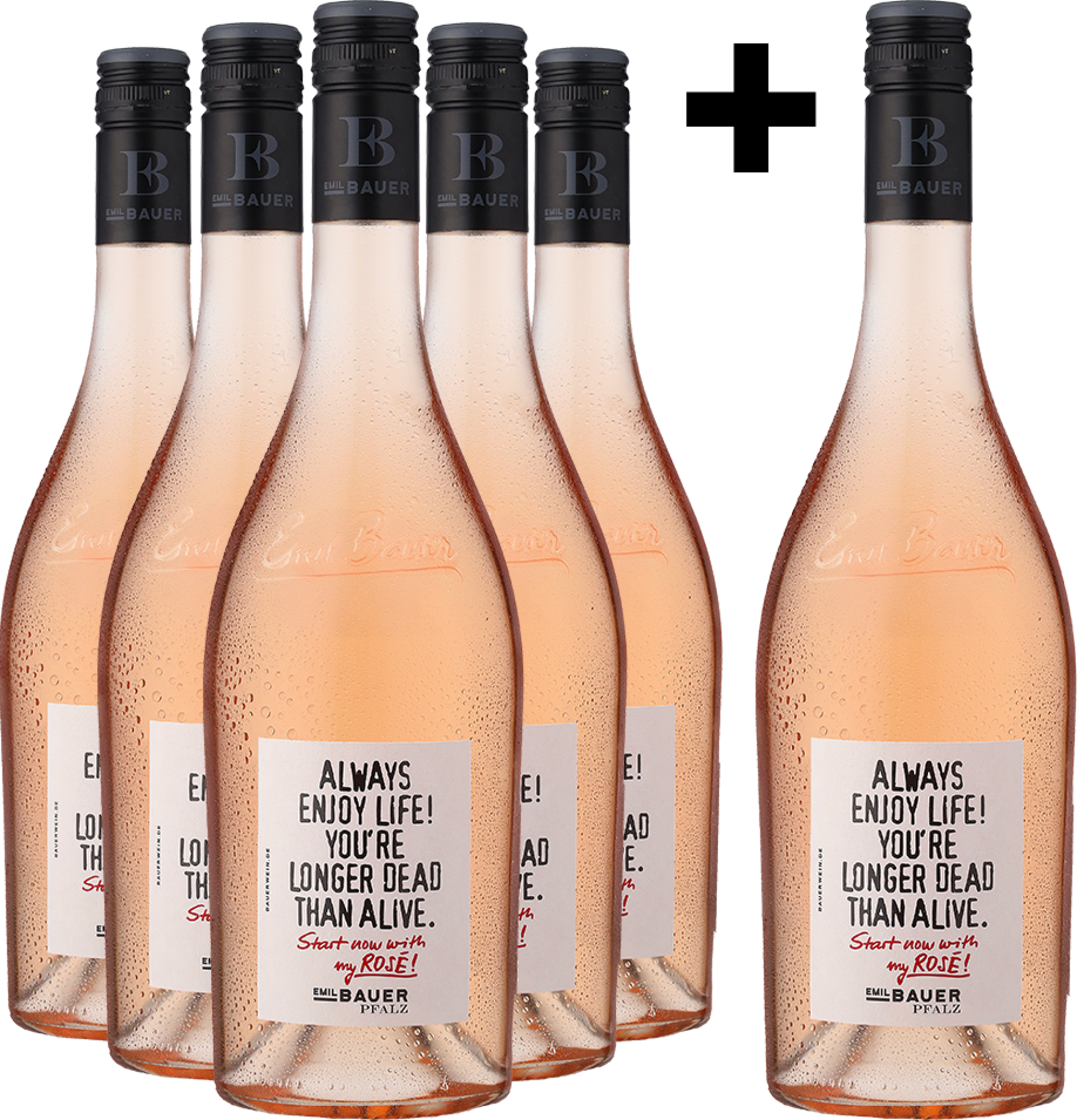 5+1-PAKET Emil Bauer »Always enjoy life...« Pinot Noir Rosé 2025