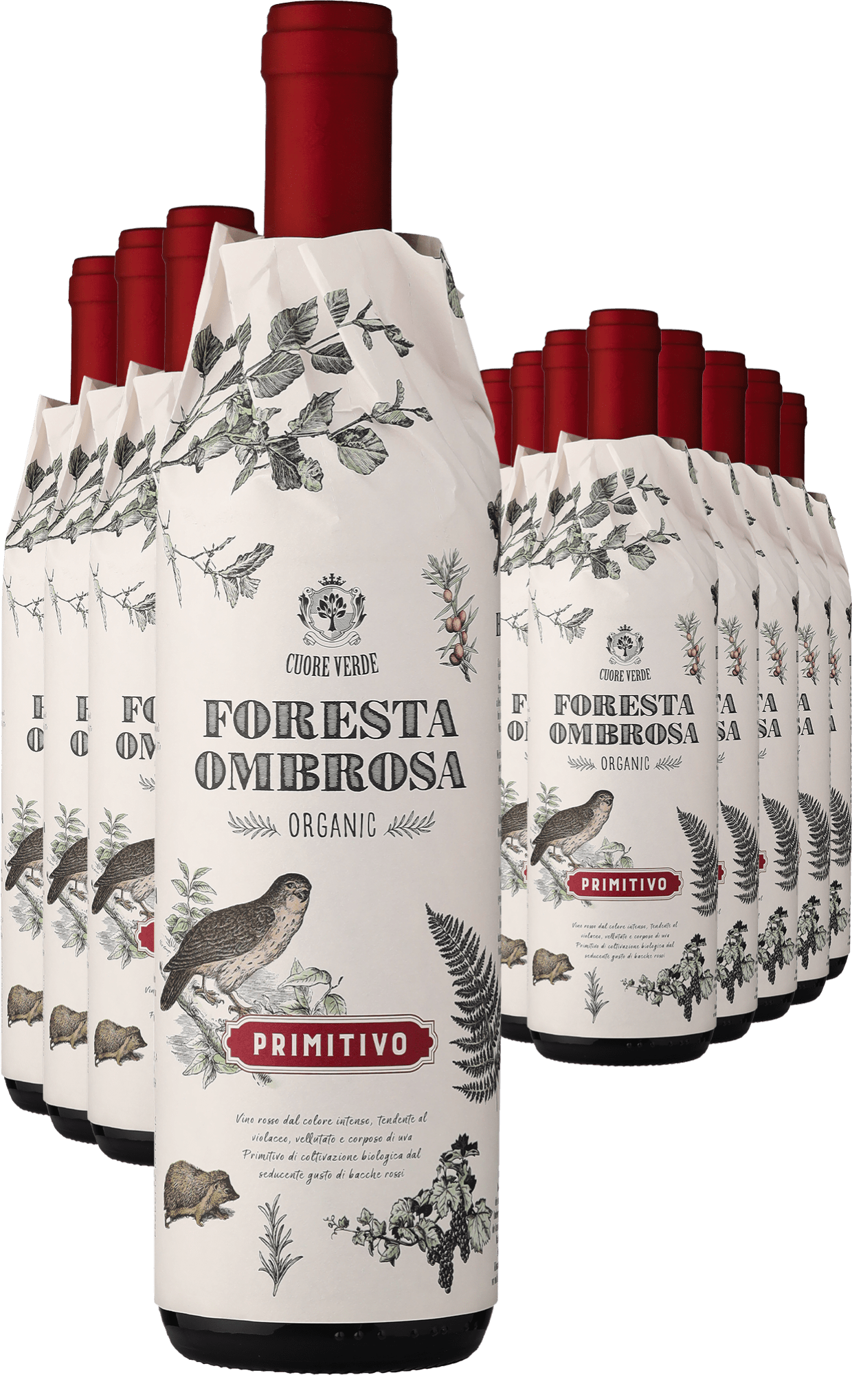 4002859989730 - 2023 Cuore Verde »Foresta Ombrosa« Primitivo – Bio im 12er-Vorratspaket
