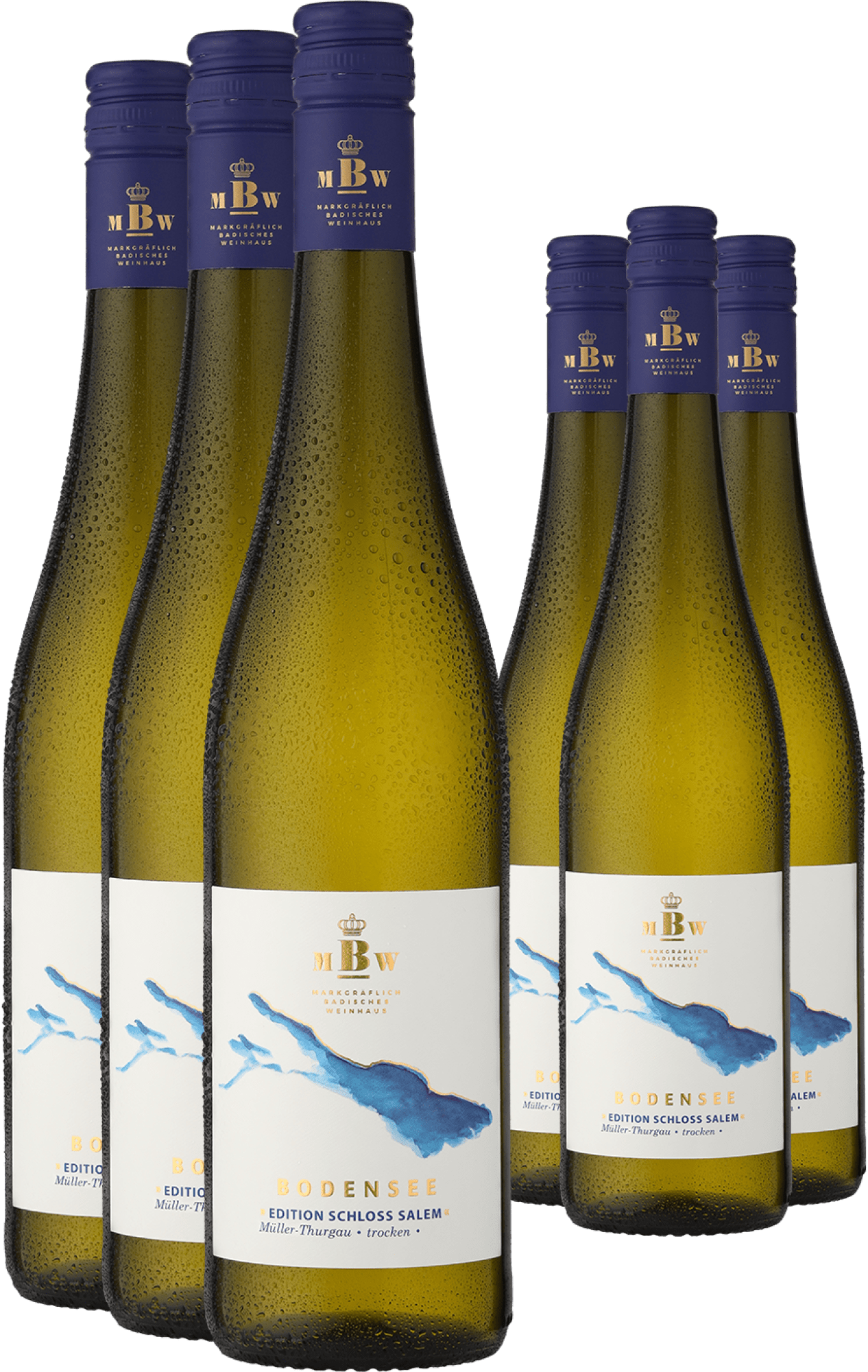 3+3-PAKET Markgräflich Badisches Weinhaus Bodensee »Edition Schloss Salem« Müller-Thurgau 2024