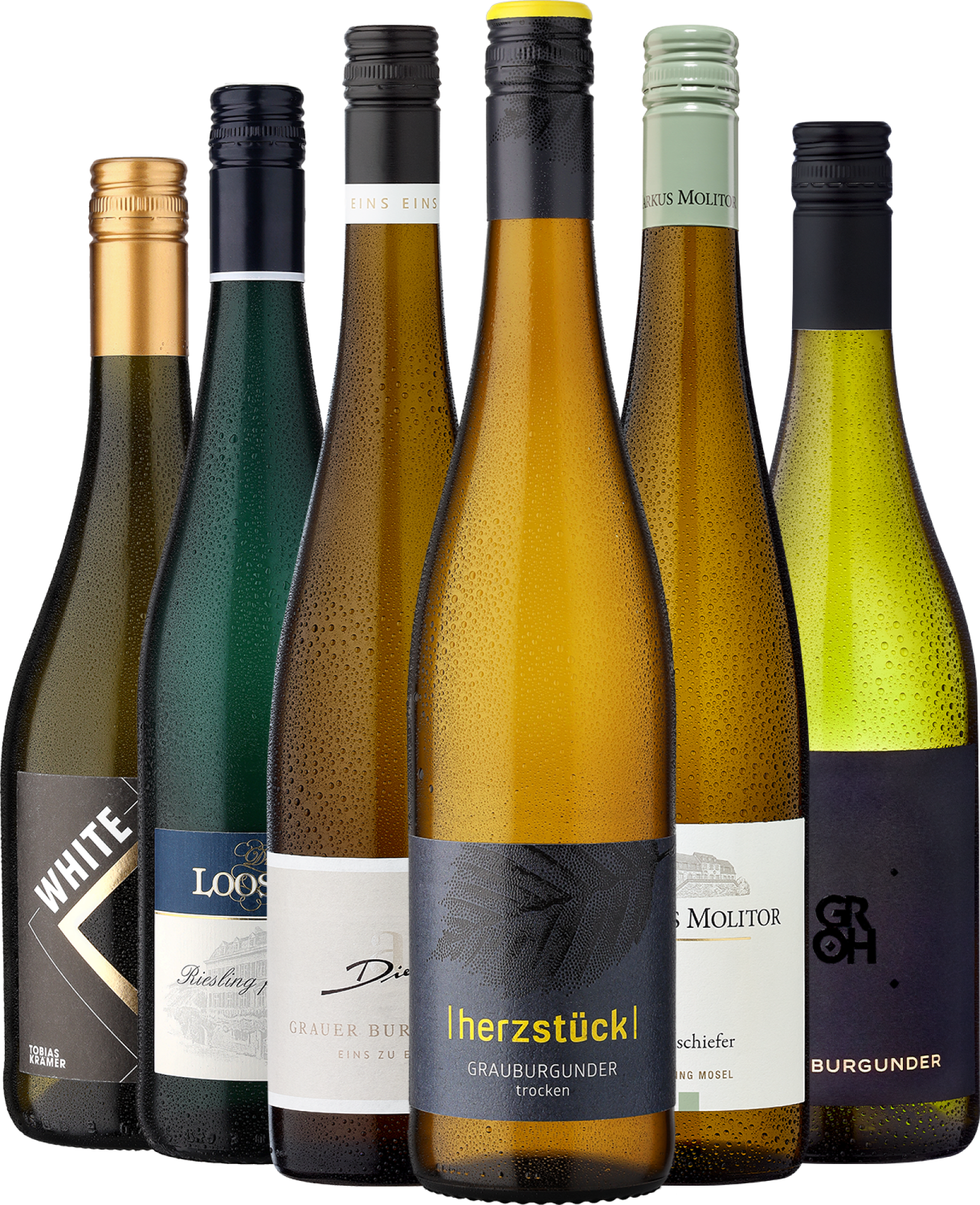 6er-Probierpaket »Johannes trinkt Wein« – weiße Edition Ludwig von Kapff GmbH Ludwig von Kapff DE