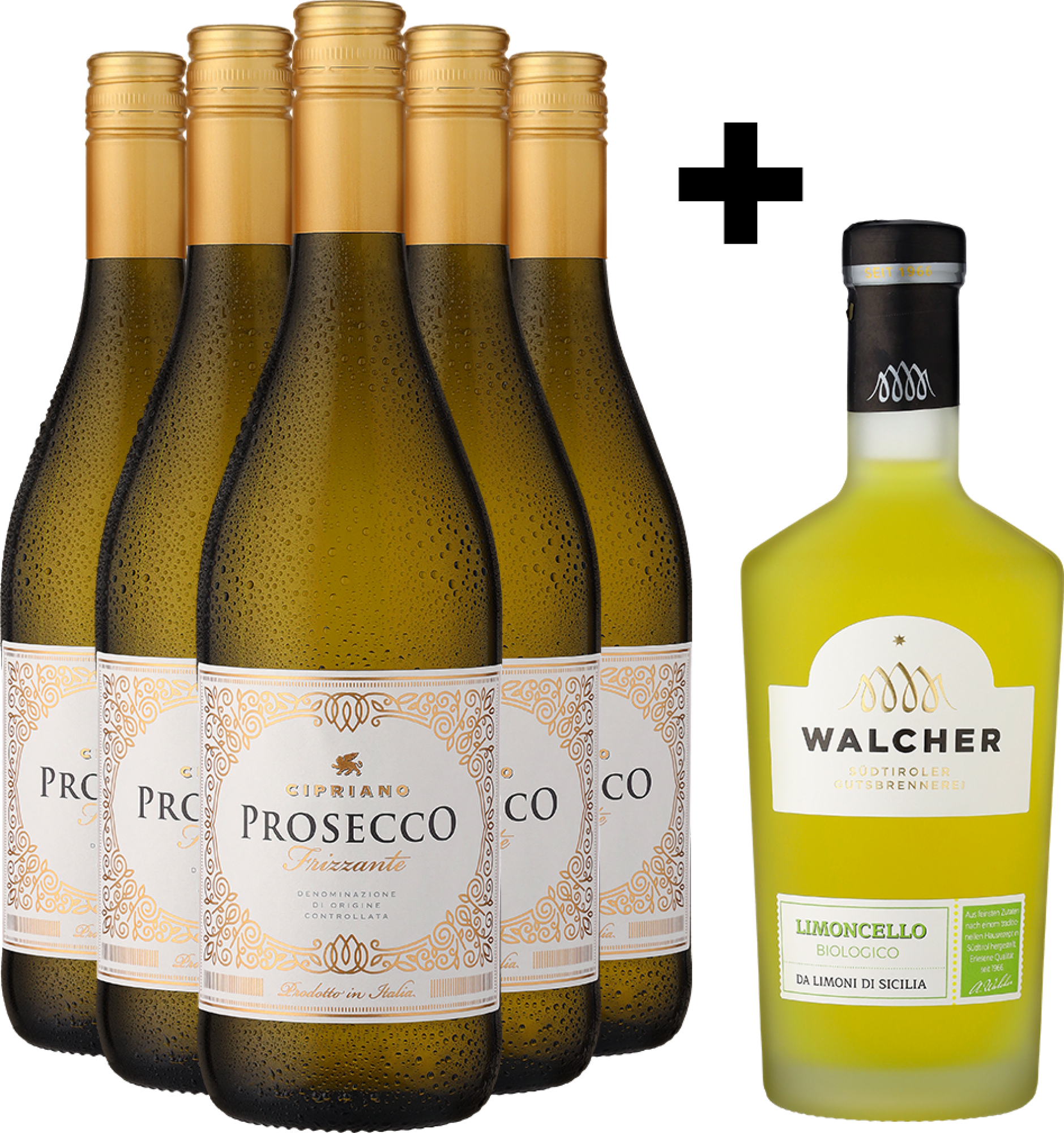 6er-Probierpaket »Limoncello Spritz«