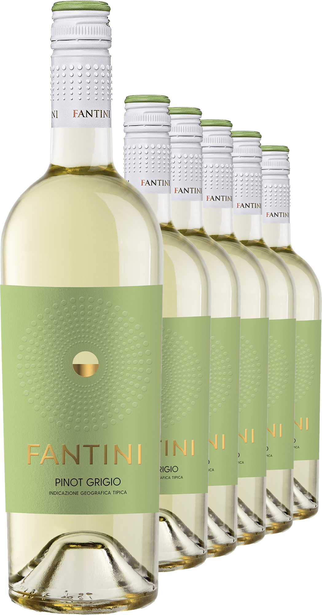4002859988825 - 2023 Fantini Pinot Grigio im 6er-Vorratspaket 4002859988825 - 2023 Fantini Pinot Grigio im 6er-Vorratspaket