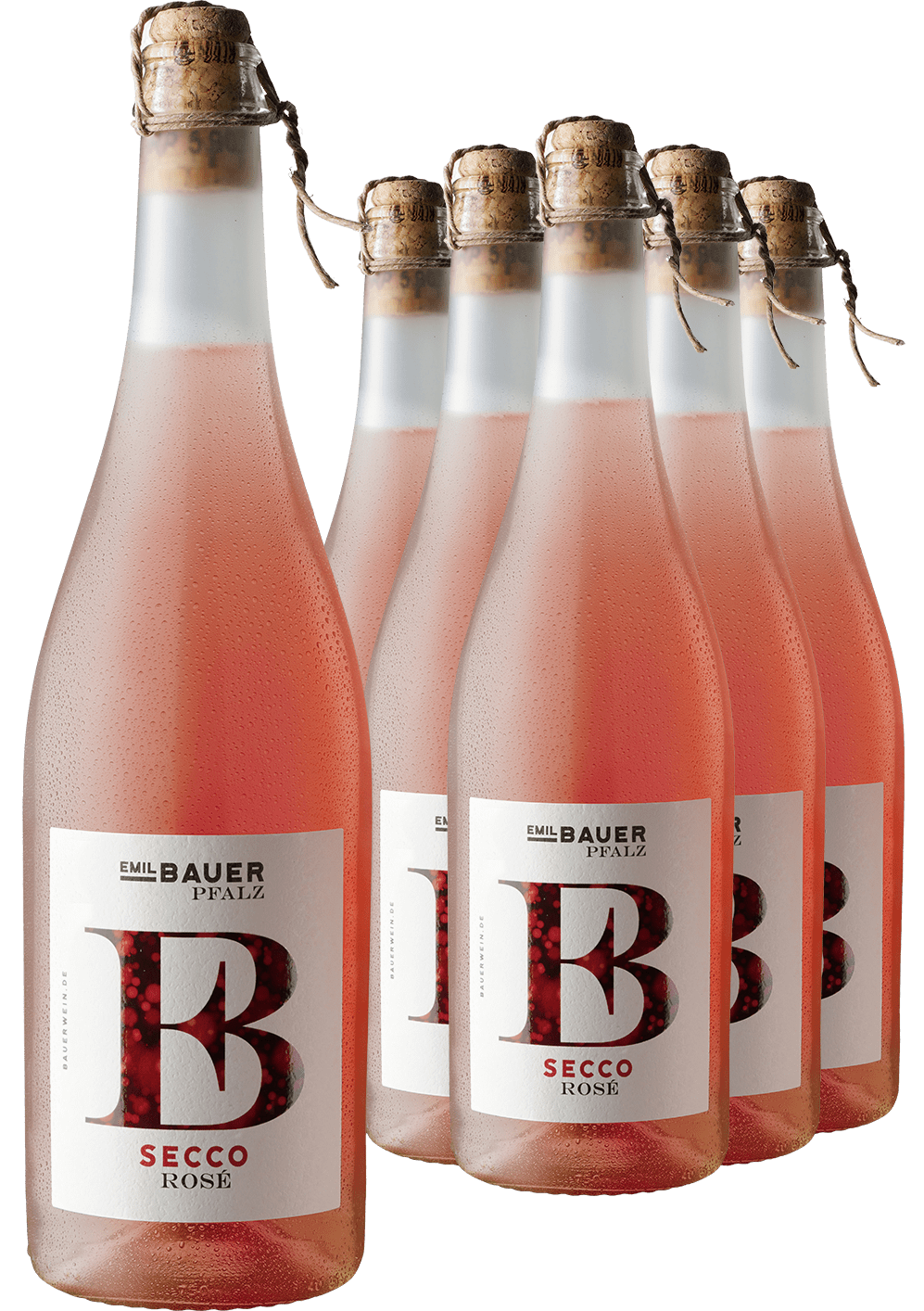 Image of 5+1-PAKET Emil Bauer Secco Rosé