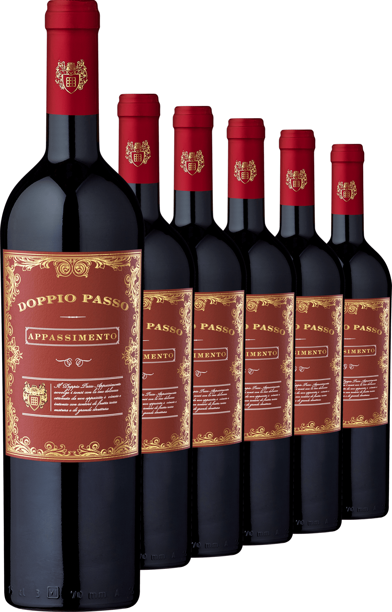 2021 Doppio Passo Appassimento Primitivo im 6er-Vorratspaket  Club of Wine DE