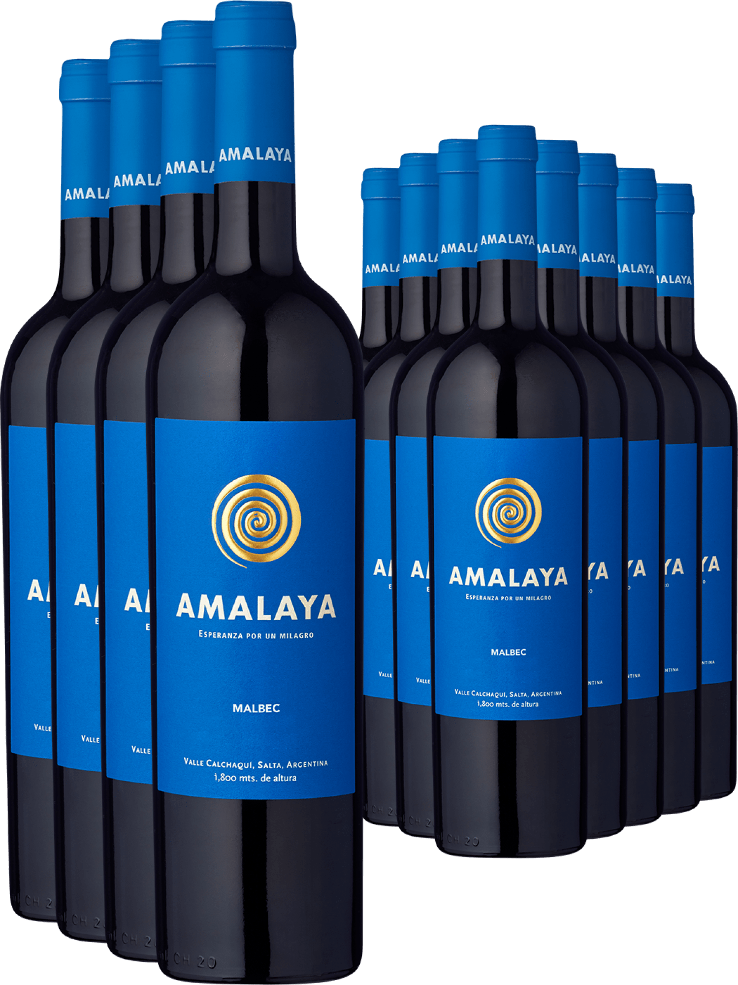 8+4-PAKET Amalaya 2024