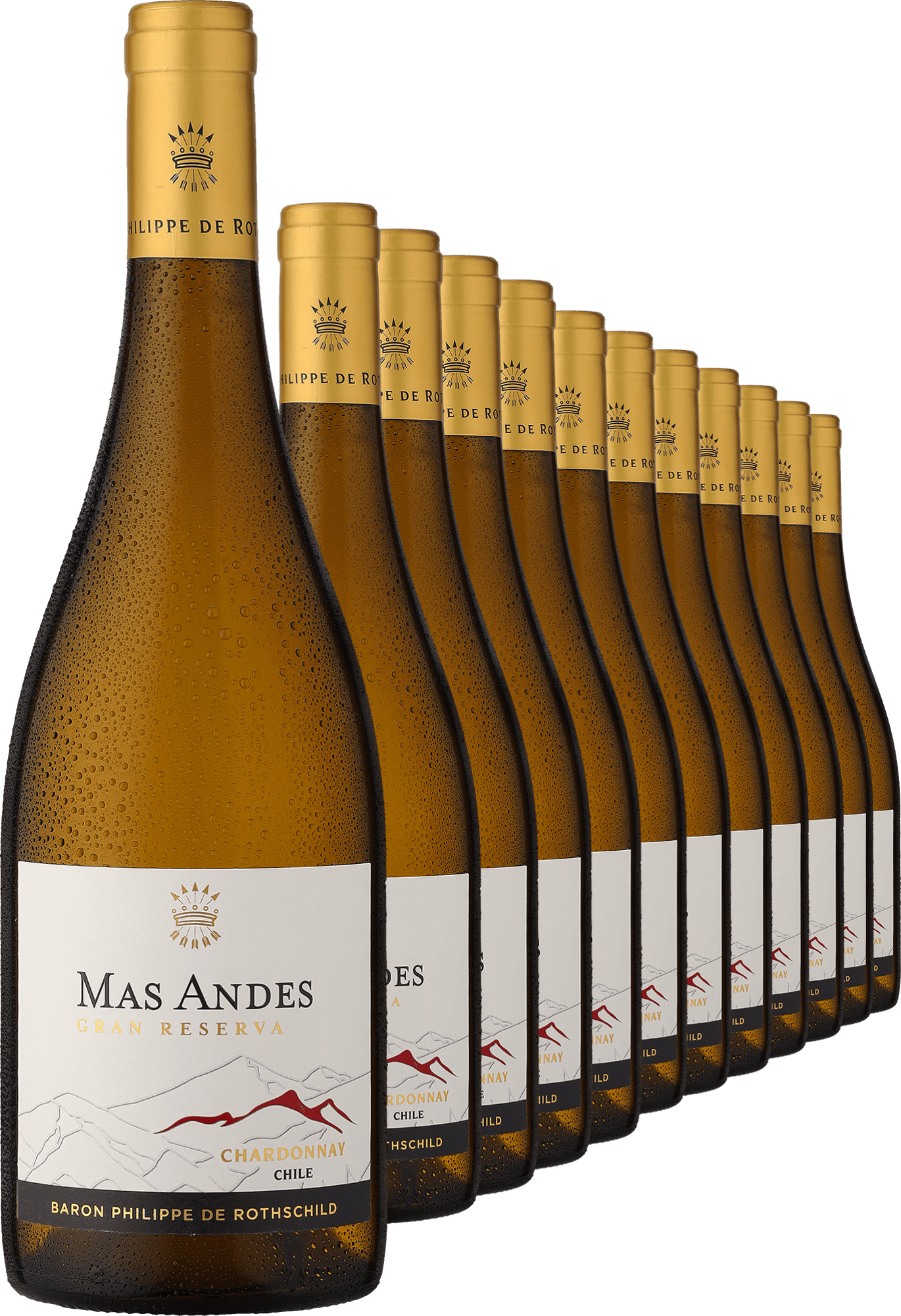 4002859983486 - 2023 Rothschild Mas Andes Gran Reserva Chardonnay im 12er-Vorratspaket 4002859983486 - 2023 Rothschild Mas Andes Gran Reserva Chardonnay im 12er-Vorratspaket