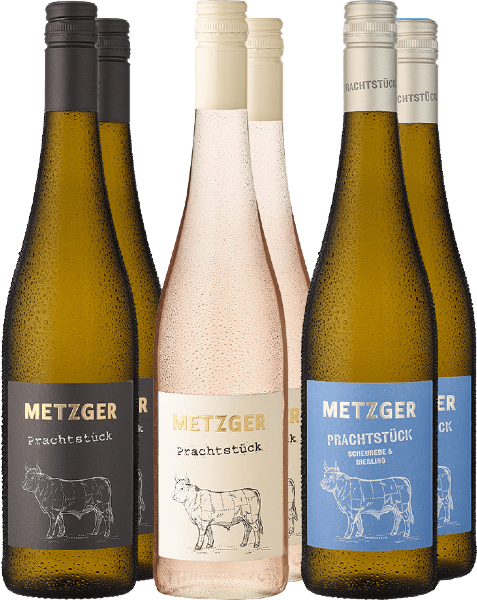 6er-Probierpaket »Weingut Metzger in Weiß«