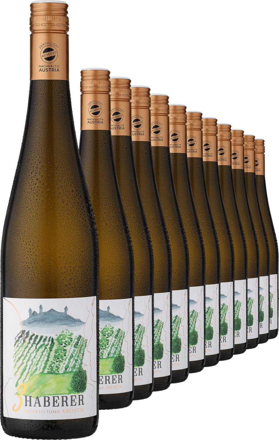 2023 Müller »3 Haberer« Grüner Veltliner im 12er-Vorratspaket  Club of Wine DE