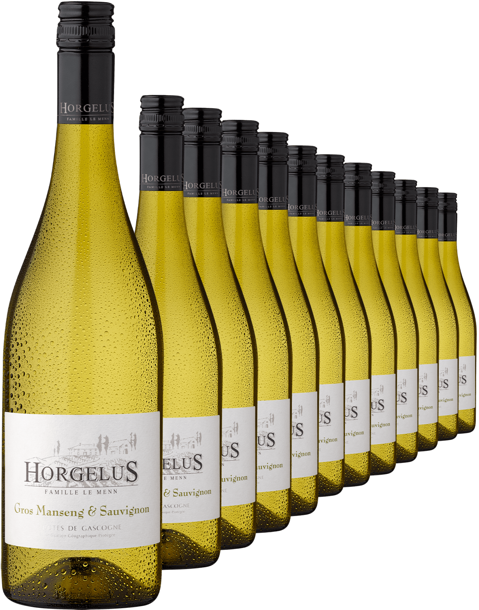 4002859990538 - Horgelus Gros Manseng & Sauvignon im 12er Vorratspaket Jetzt 29% sparen! 4002859990538 - Horgelus Gros Manseng & Sauvignon im 12er Vorratspaket Jetzt 29% sparen!