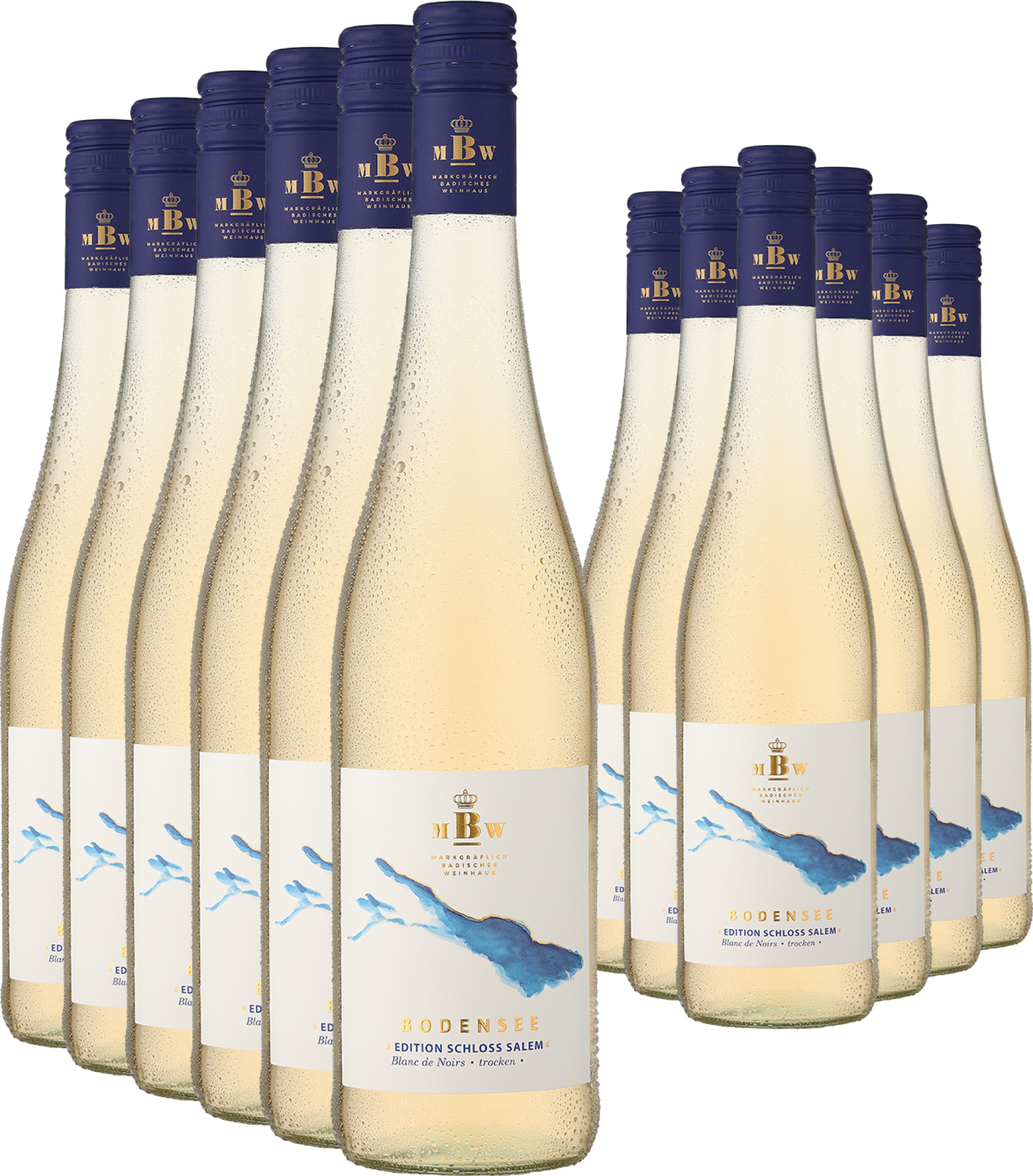 6+6-PAKET Markgräflich Badisches Weinhaus Bodensee »Edition Schloss Salem« Blanc de Noirs 2025