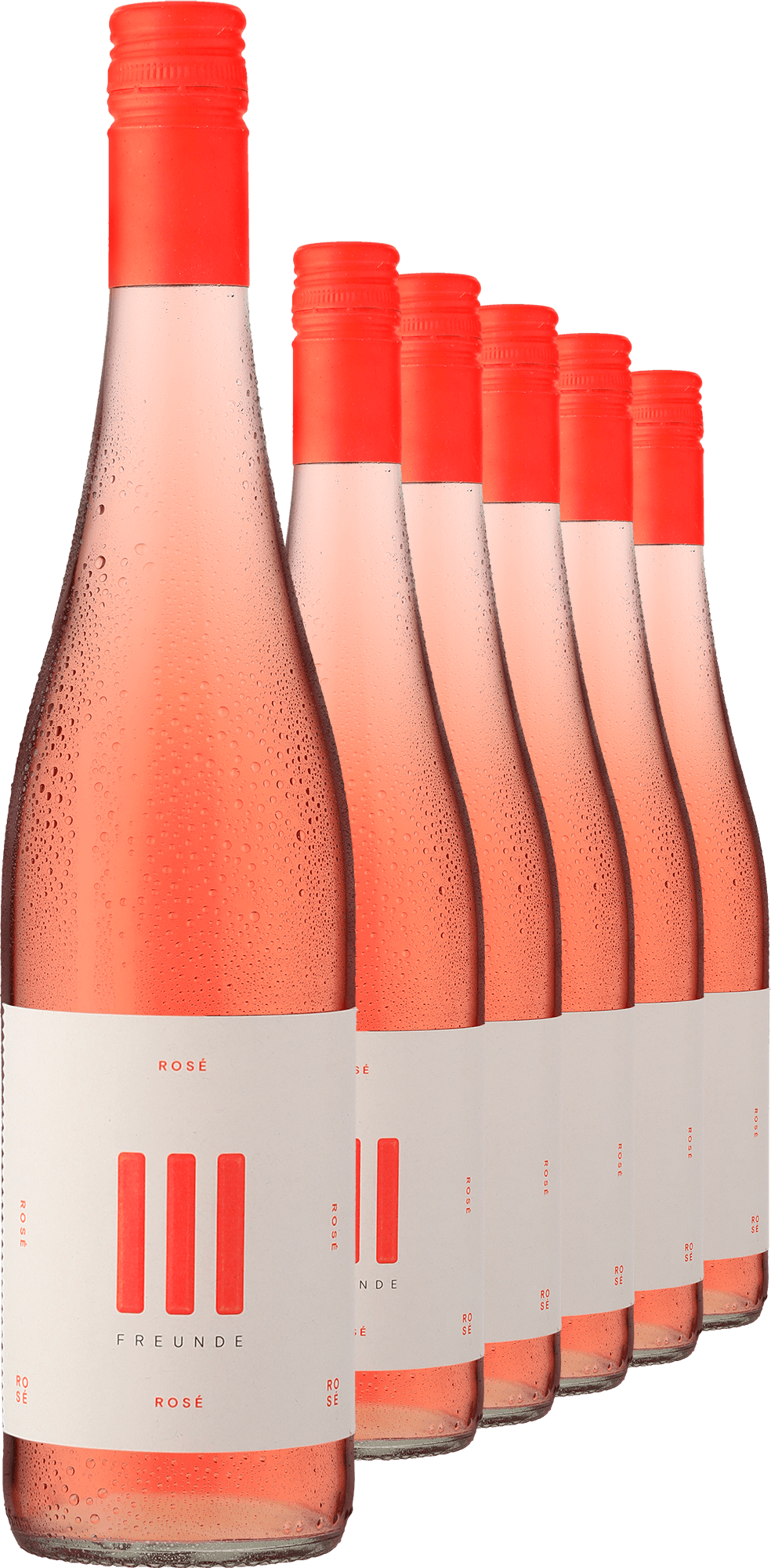 2024 III FREUNDE Rosé im 6er-Vorratspaket