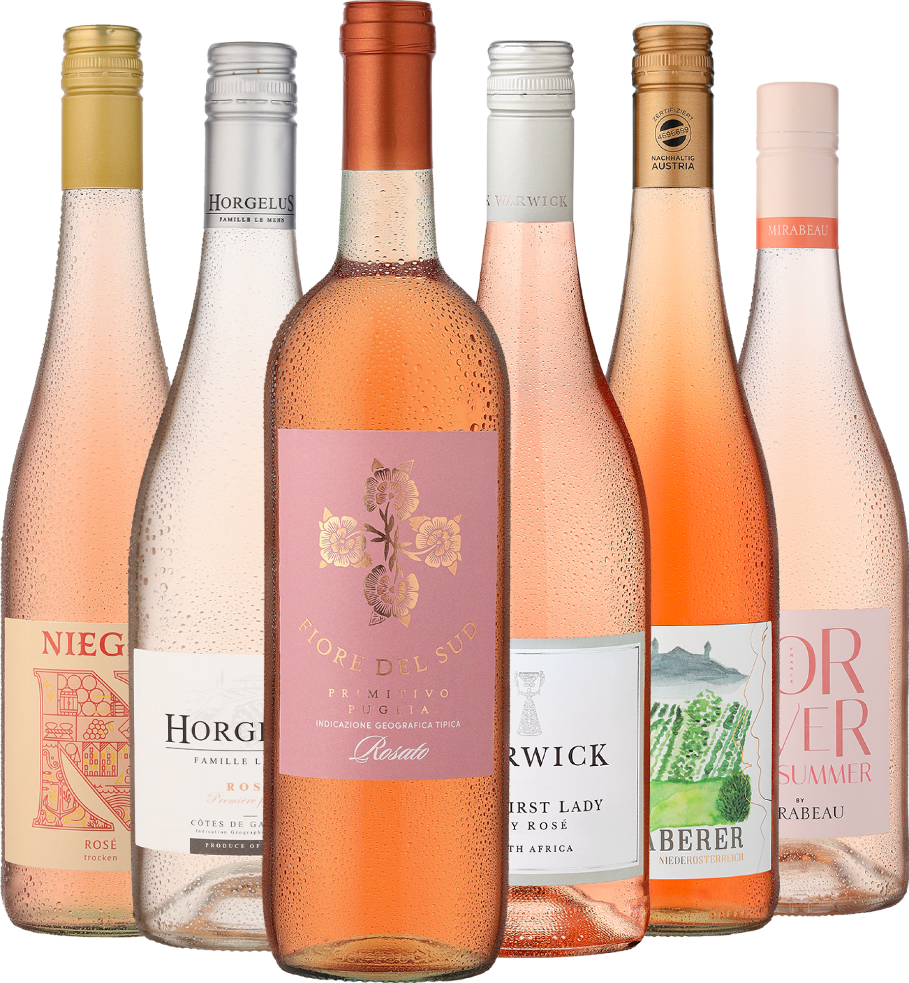 6er-Probierpaket »Rosé-Reise um die Welt«