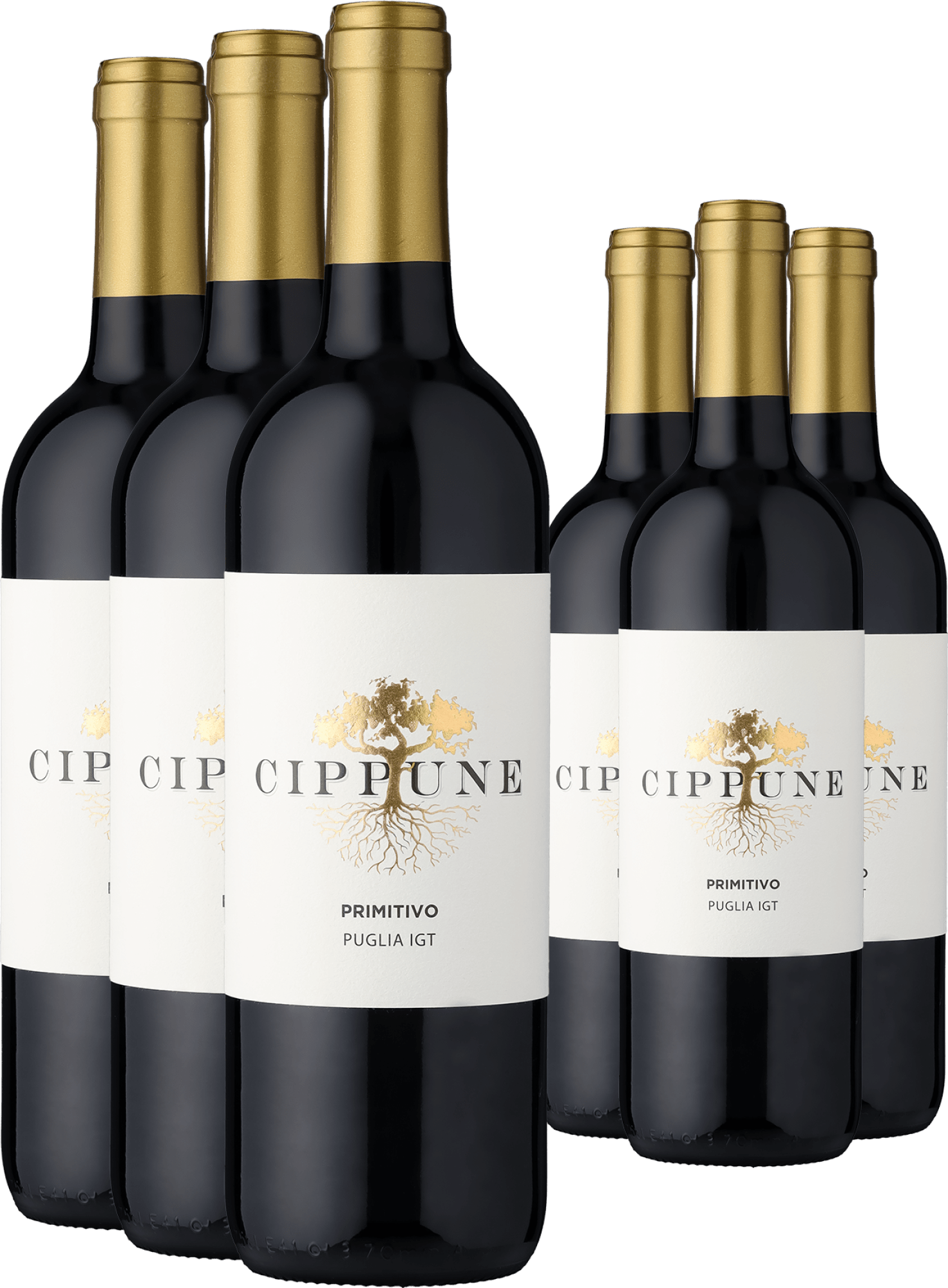 3+3-PAKET Cippune Primitivo 2025