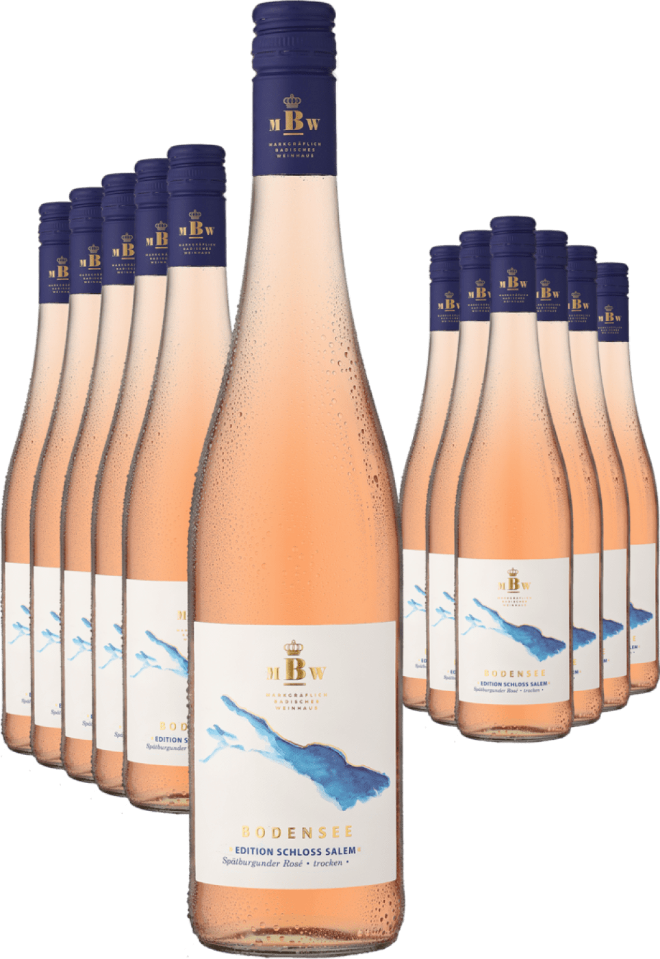 6+6-PAKET Markgräflich Badisches Weinhaus Bodensee »Edition Schloss Salem« Rosé 2023  Club of Wine DE