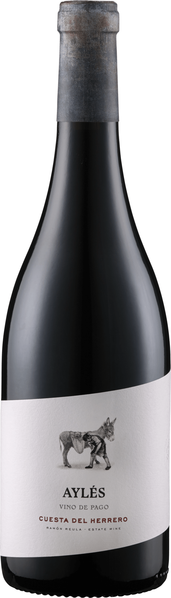 Bodega Pago Aylés »Cuesta del Herrero« – Bio
