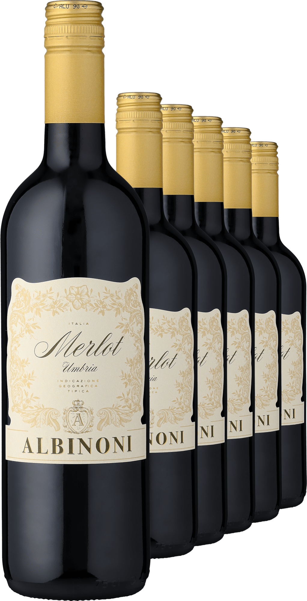 2024 Albinoni Merlot im 6er-Vorratspaket