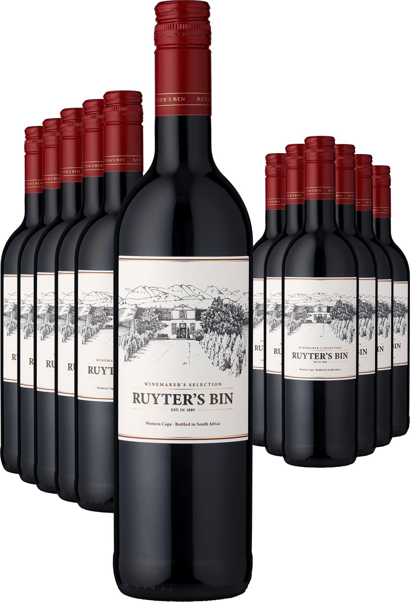 2024 Ruyter's Bin »1889« Red im 12er-Vorratspaket