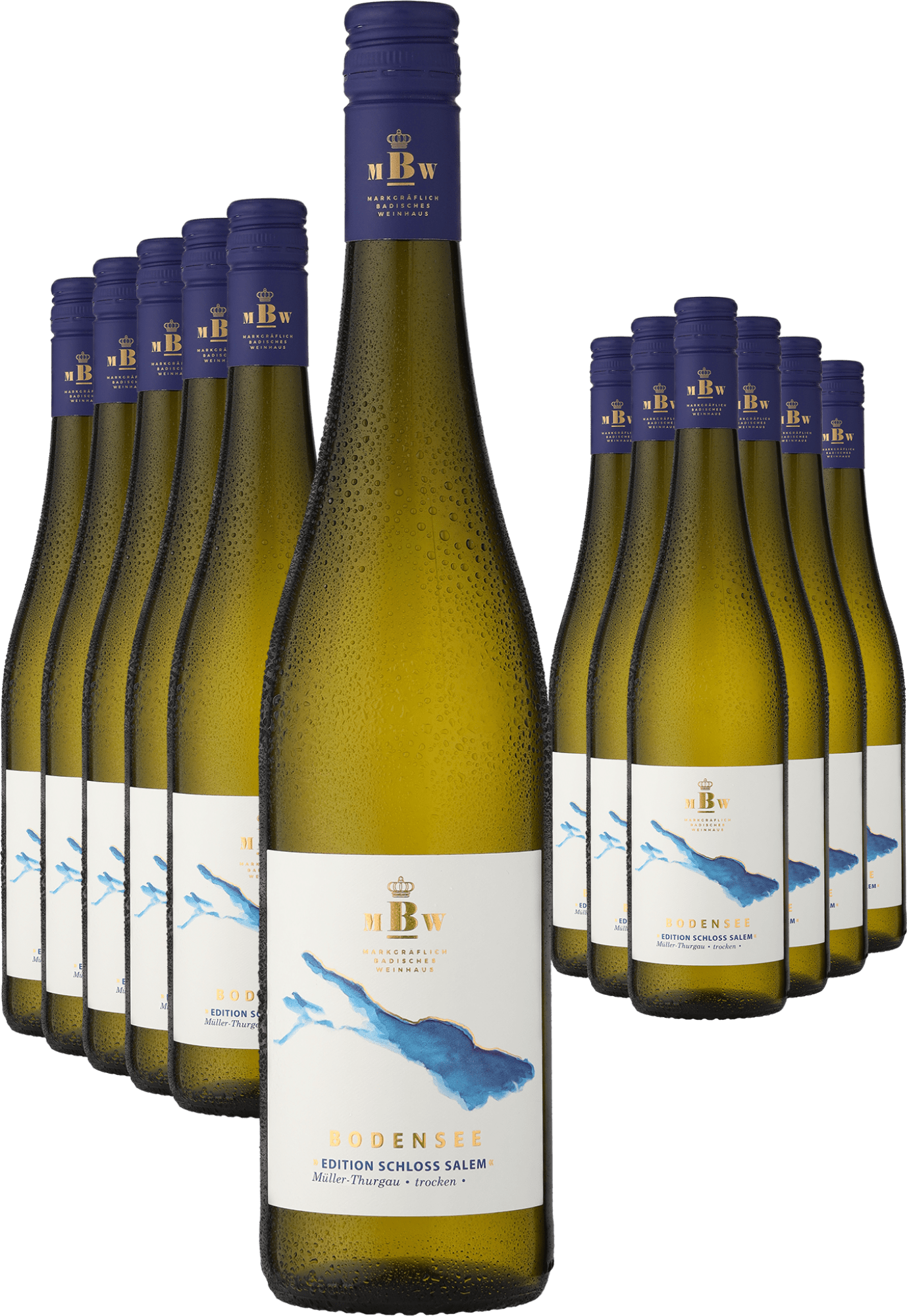 6+6-PAKET Markgräflich Badisches Weinhaus Bodensee »Edition Schloss Salem« Müller-Thurgau 2024