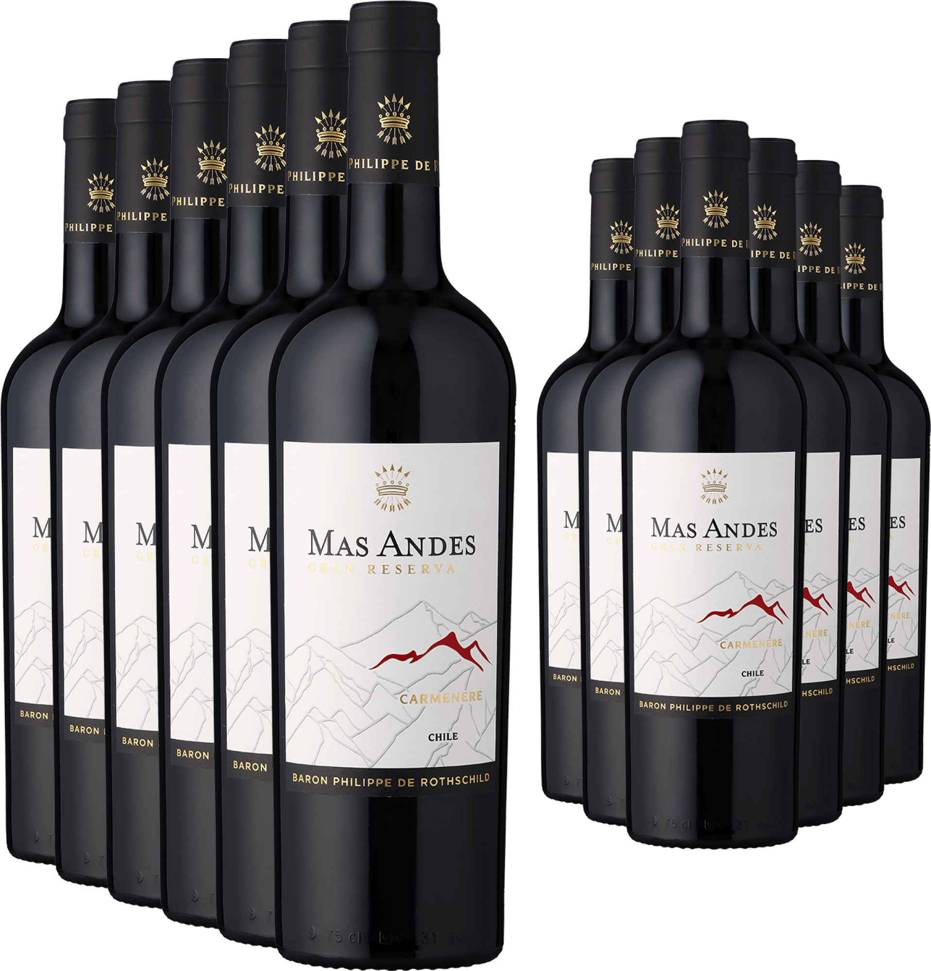 6+6-PAKET Rothschild Mas Andes Gran Reserva Carménère 2023
