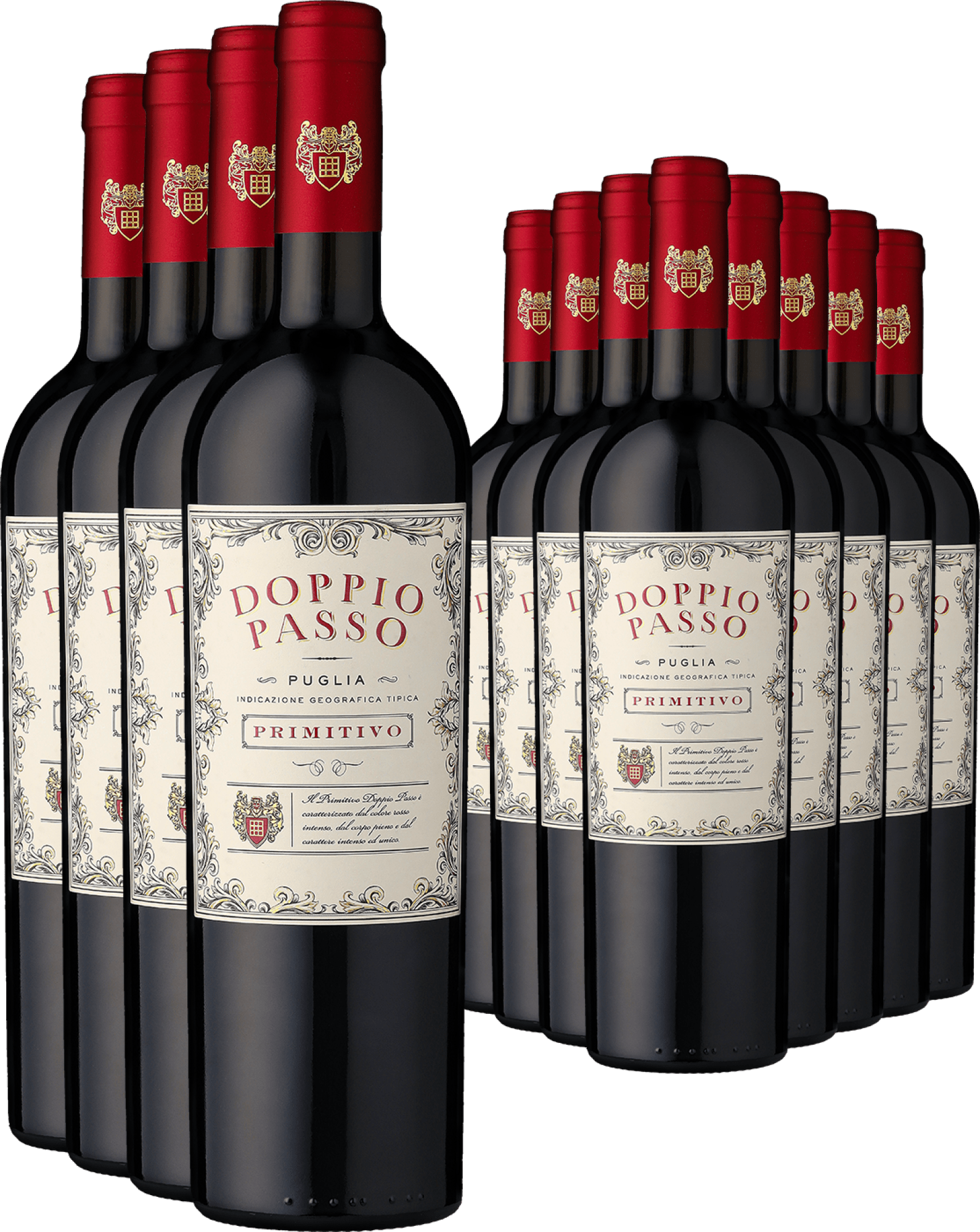 8+4-PAKET Doppio Passo Primitivo 2024