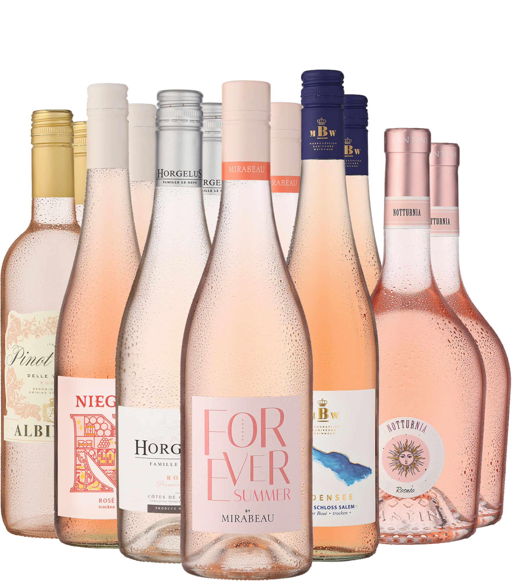 12er-Probierpaket »Best of Rosé«